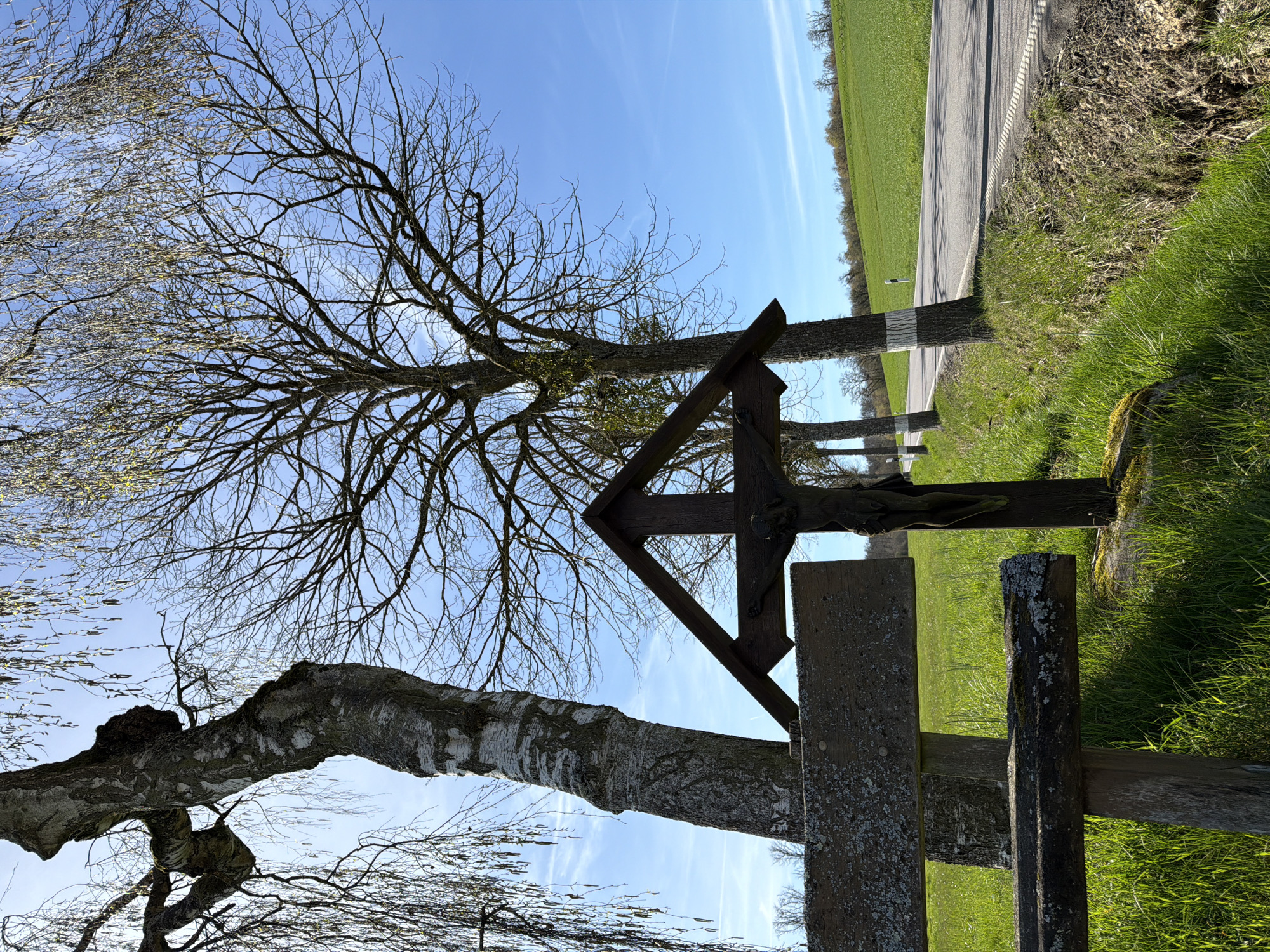 A low-angle, rotated outdoor scene shows a wooden crucifix monument positioned beside a road in a rural area. The sky is a clear light blue with faint, elongated cloud streaks. Bare tree branches, one with a distinct white birch-like trunk, reach across the sky. To the right of the crucifix, a green field extends along the roadside, bordered by a gray paved road. The scene is likely located near Junglinster, Luxembourg, considering the presence of the wayside cross. The image is rotated approximately 90 degrees counterclockwise.