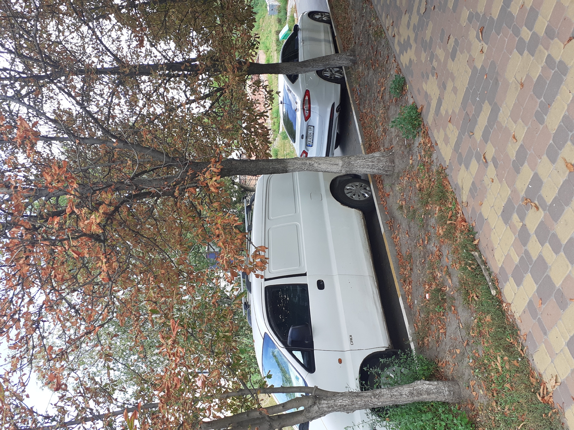 The image depicts a street scene in Obukhiv, Ukraine. Two white vehicles, a van and a sedan, are parked on the side of the road adjacent to a sidewalk paved with colored interlocking bricks. Trees with autumn foliage, characterized by brown and orange leaves, are situated between the road and the sidewalk, partially obscuring the vehicles and the background. The van, on the left, is a white panel van with "CRDi" visible on its lower body. The sedan, on the right, is a white four-door car with a license plate reading "KA 6504 IP". Fallen leaves are scattered on the ground around the trees and the vehicles. The background shows a grassy incline and some greenery. The sky is overcast.