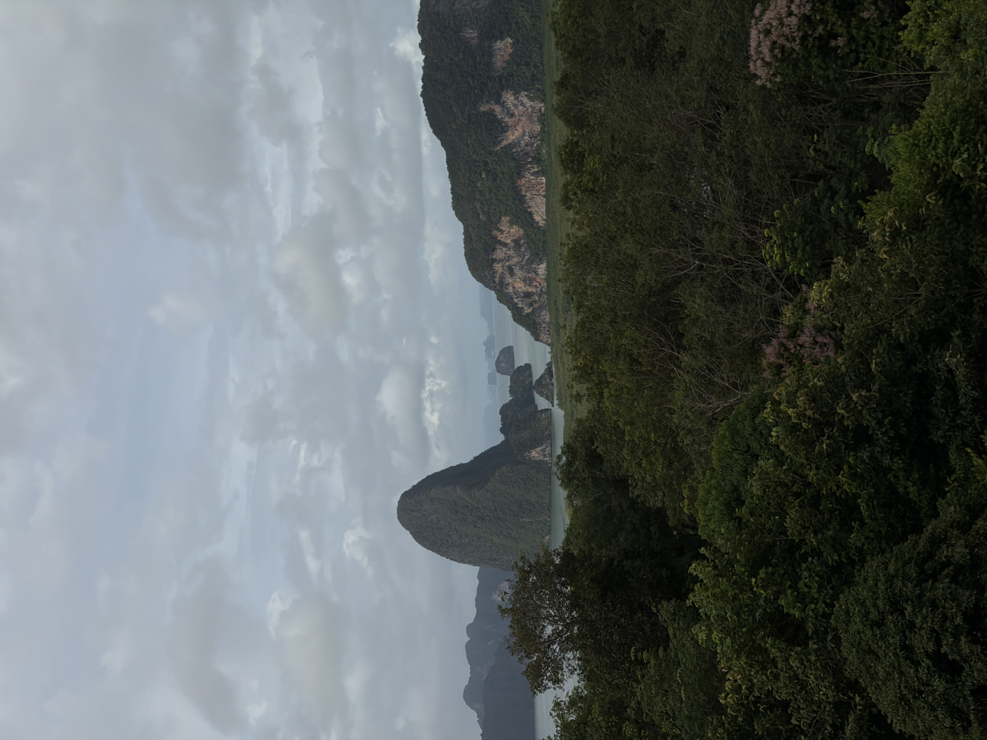 The image captures a panoramic view of the karst landscape of Phang Nga Bay, near Ban Hin Rom, Thailand. In the foreground, a dense, dark green forest occupies the bottom half of the frame, with some lighter green foliage and a hint of pinkish-purple flowering trees visible on the right. Beyond the forest, a body of water, likely the bay, separates the foreground from the distant islands. The most prominent feature is a large, conical, jungle-covered island rising steeply from the water in the mid-ground, to the left of center. To its right, another, larger island with a more rugged, rocky face is visible, showing exposed sections of red and orange rock amidst the green vegetation. The background consists of a hazy expanse of smaller islands and the sea, fading into a pale, overcast sky filled with soft, diffused clouds. The overall atmosphere is serene and slightly muted due to the cloudy conditions.