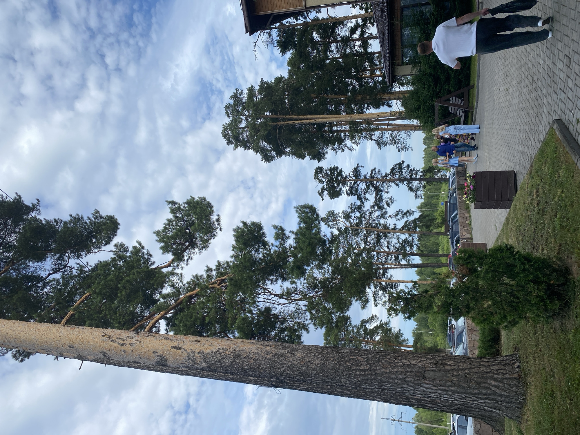 The image depicts an outdoor scene in Votkinsk, Russia, on a partly cloudy day. The viewpoint is oriented vertically, with the sky occupying a significant portion of the frame. Tall pine trees with dark green foliage dominate the middle and left side of the image, with their trunks extending upwards. Some of the trees lean at an angle, with one particularly large, rough-barked trunk in the foreground.
On the right side of the image, a paved pathway is visible, leading away from the viewer. A group of people are gathered on this pathway. One man in a white t-shirt and dark pants is walking away from the camera, carrying a dark bag over his shoulder. Further down the path, a group of women are standing together, dressed in various light-colored clothing. A man in a blue shirt and jeans stands among them.
In the background, a building with a wooden exterior is partially visible amongst the trees. The pathway is lined with grass and a few bushes. A wooden planter box with flowers sits on the pathway. A parking lot with several cars is visible beyond the pathway and grass. The overall impression is of a casual gathering or event taking place outdoors, possibly at a park or a private residence, given the building and the group of people. The lighting suggests it is daytime, likely afternoon, given the presence of shadows. There is no visible text in the image.