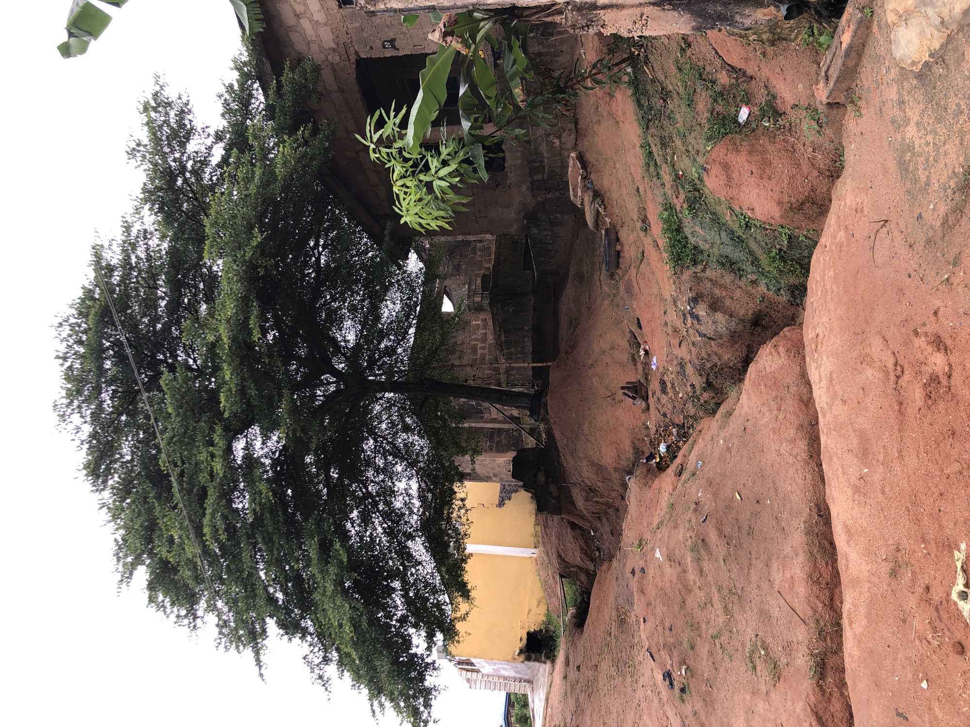 This is an outdoor photograph taken in Ifo, Nigeria, on an overcast day. The scene depicts a dirt path leading into a rural or semi-rural environment. A large tree with dense green foliage dominates the center of the frame, casting shade over a portion of the area. To the right of the tree, a partially constructed or dilapidated building made of brick is visible. It has open doorways and appears weathered. Further to the left, a building with a bright yellow exterior wall is present, showing signs of damage and wear, including cracks and peeling paint.
The ground is primarily composed of red soil and appears uneven, with a small gully or ditch running through it, containing some debris and overgrown vegetation. There are also scattered pieces of trash and some worn tires visible on the ground, suggesting a lack of proper waste management in the area. In the foreground, the red soil is prominent, with some small plants growing in patches. In the background, beyond the immediate structures, more vegetation and some distant buildings can be seen. The overall impression is one of a modestly developed, possibly impoverished, area. There are no people or animals clearly visible in the photograph.
