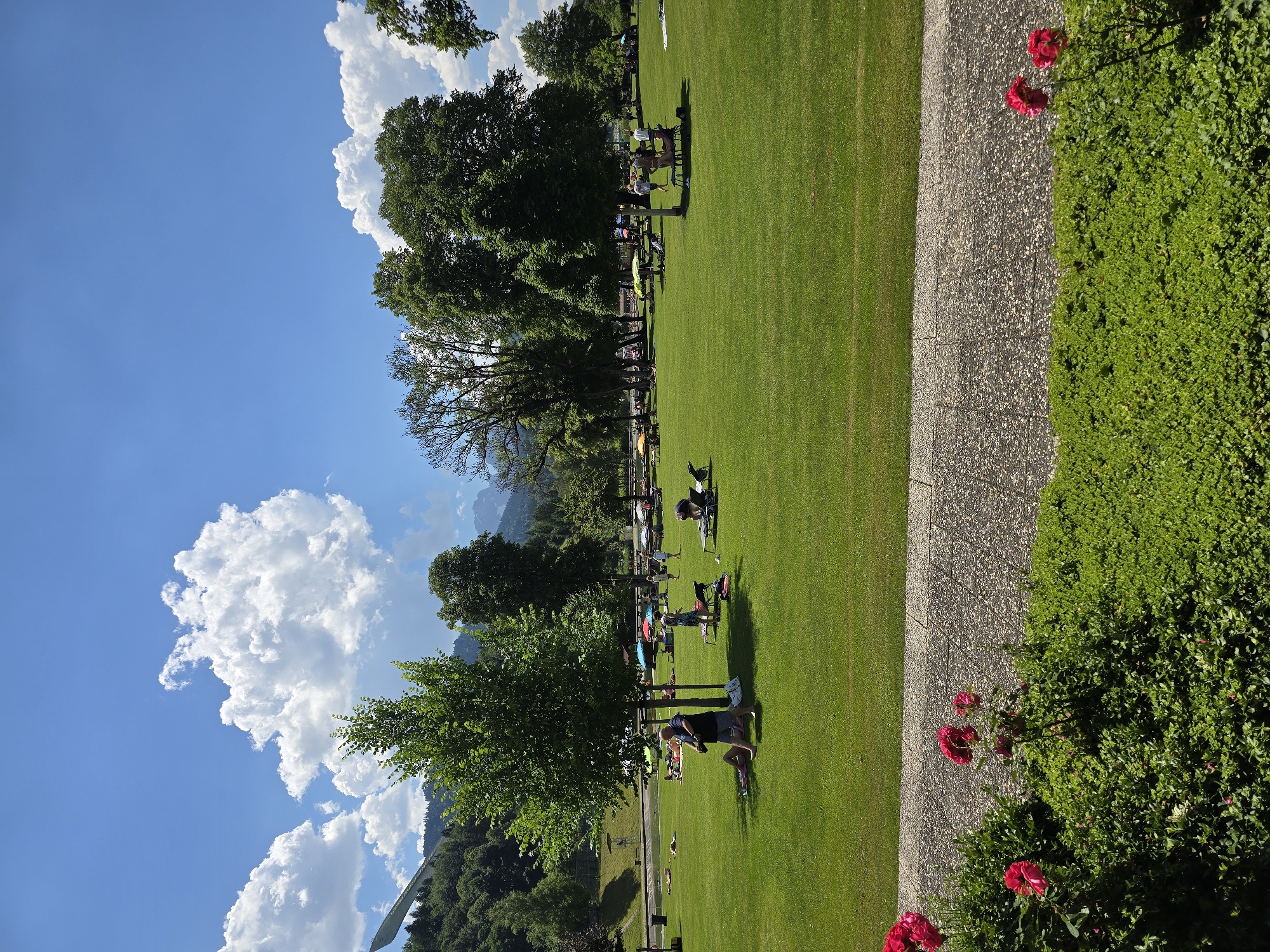 This is a vertically oriented photograph of a park on a sunny day, likely in Garmisch-Partenkirchen, Germany. The scene is dominated by a vast expanse of lush green grass, dotted with numerous people engaged in various leisurely activities. Some individuals are sitting or lying on blankets, while others appear to be walking or playing. A paved pathway runs along the right side of the frame, bordered by a dense, vibrant green hedge and a few blooming red roses. In the background, large, mature trees cast shadows on the grass, and further beyond, a majestic mountain range is visible under a bright blue sky filled with fluffy white clouds. The sunlight suggests it is midday, and the clear weather indicates a pleasant summer day. There is no visible text in the image. The overall atmosphere is one of relaxation and enjoyment in an outdoor setting.