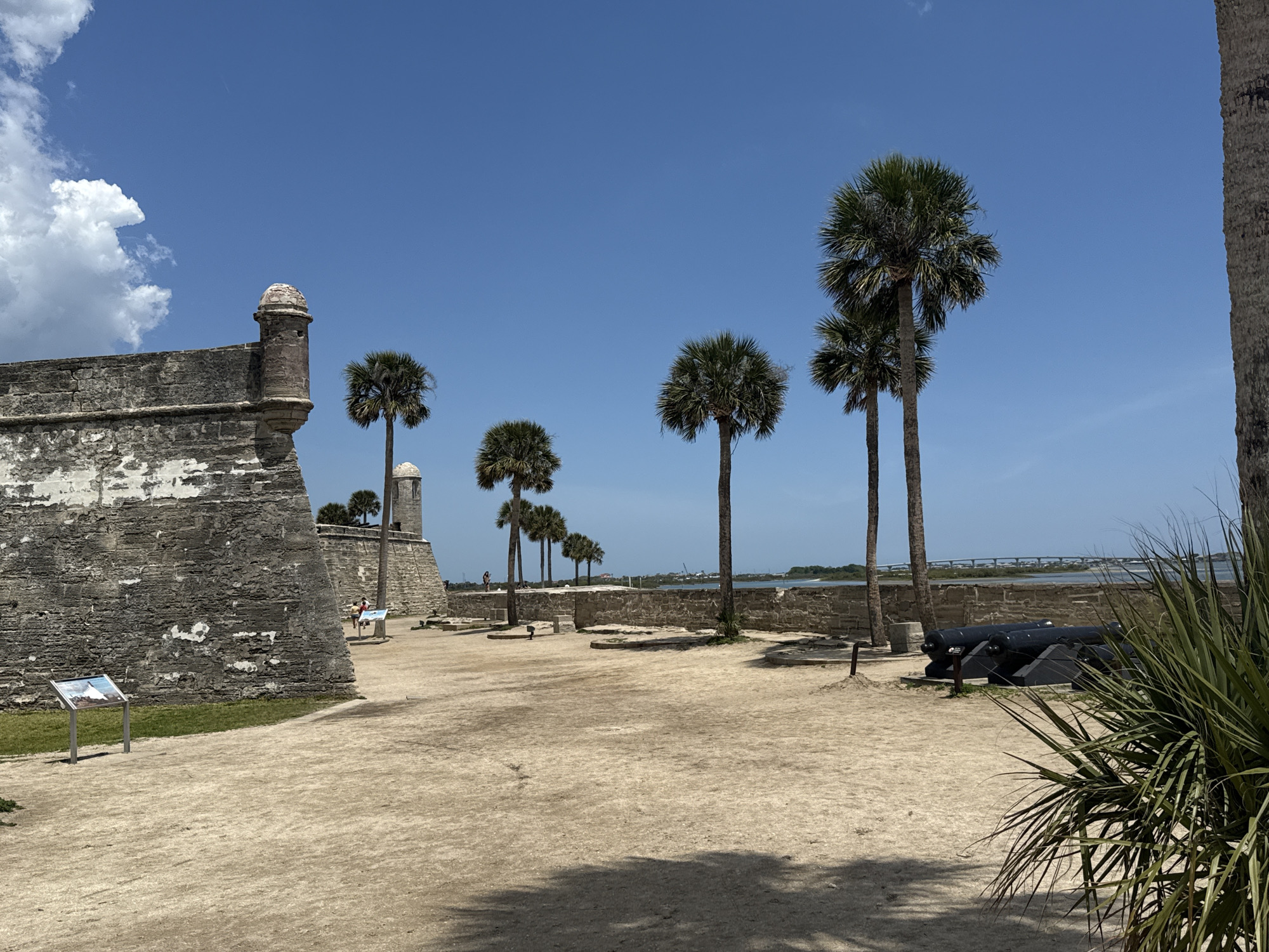 The image depicts the Castillo de San Marcos National Monument in Saint Augustine, Florida, United States. A section of the fort's coquina stone wall is visible on the left, with a turret. The ground is sandy. Several palm trees line the wall. A cannon is positioned near the right side of the image, partially obscured by vegetation in the foreground. In the distance, a bridge spans water, connecting land masses. The sky is clear blue, with a cloud in the upper left corner. Several people are seen on the wall. A sign is present near the front left.