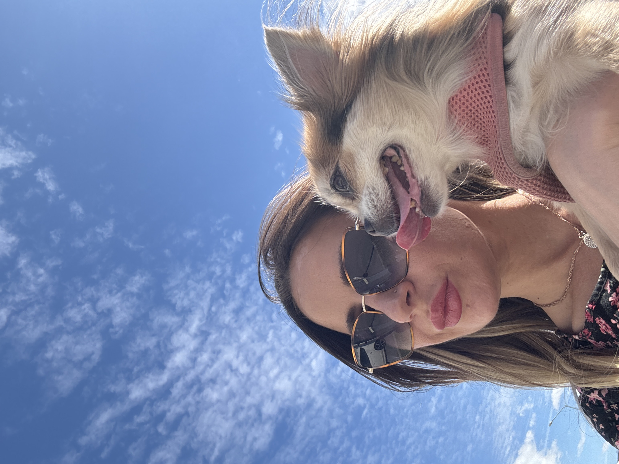 In Saint Petersburg, Russia, a woman with long, brown hair, wearing sunglasses and a floral top, holds a small, light-colored dog with a pink mesh harness against a bright blue sky with wispy white clouds. The woman is looking to her left, with her lips slightly pursed. The dog is looking to its right, with its tongue out and mouth open. The image is a close-up shot, taken from a low angle, emphasizing the sky and the subjects.