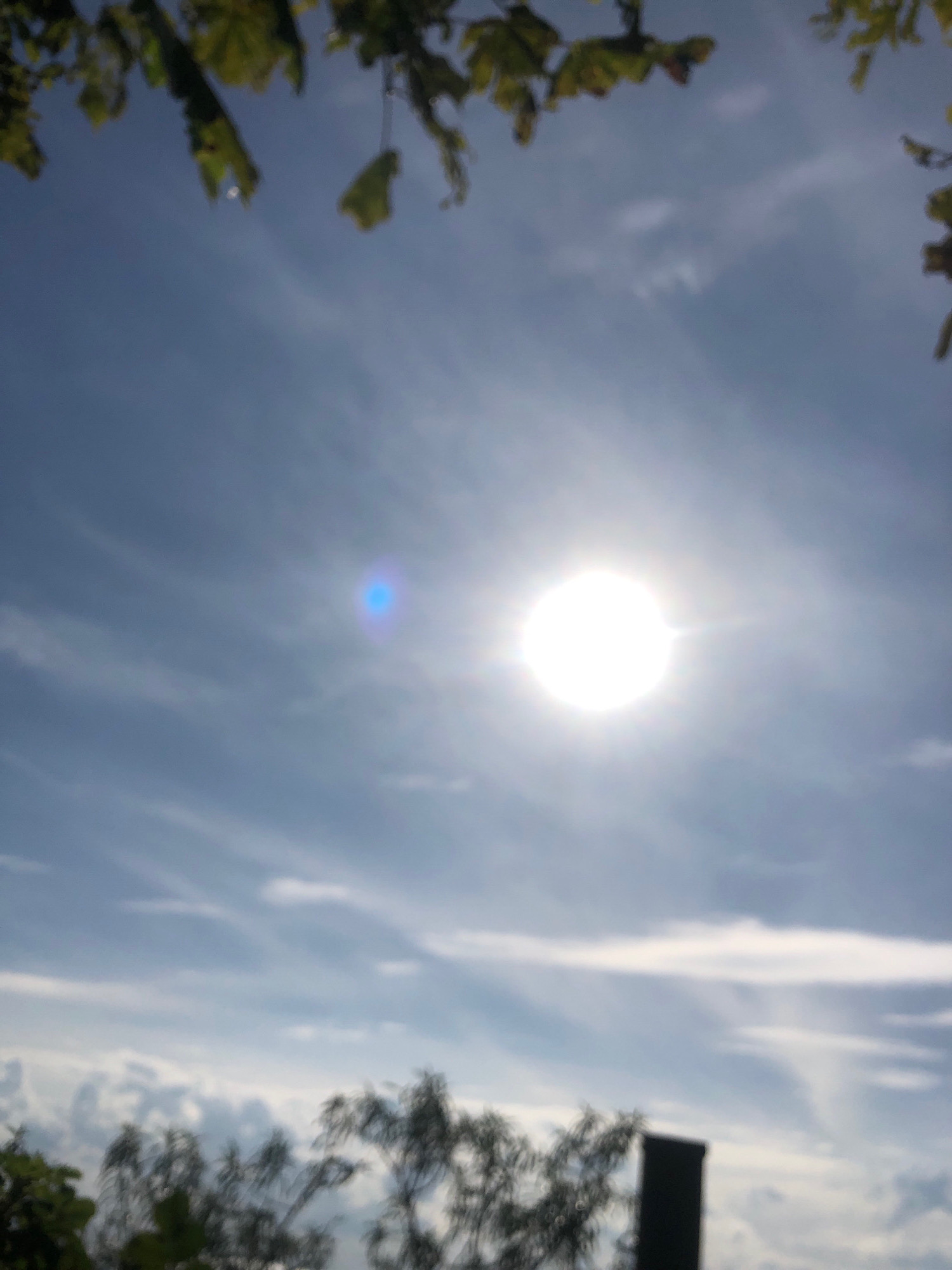 The image depicts a bright, sunlit sky with scattered clouds. The sun is prominently visible as a white, luminous orb in the center-right of the frame, emitting rays of light. A faint blue lens flare is also present to the left of the sun. The sky is a clear blue, transitioning to lighter shades near the horizon. The top of the image is partially obscured by blurred green foliage, suggesting trees or branches. The bottom of the image shows blurred dark shapes that appear to be tree branches and a dark vertical object, possibly a pole or part of a structure. The overall scene is outdoor and appears to be taken on a clear day. Given the context of Solnechnoye, Russia, this image likely captures a view of the sky with natural elements common to the area.