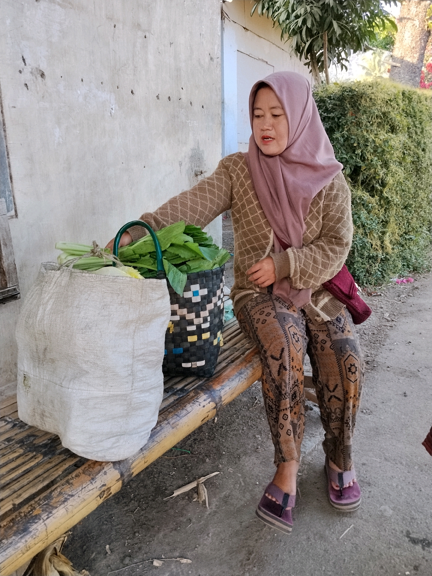 In Tlogosari, Indonesia, a woman wearing a pink hijab, a patterned brown sweater, and patterned brown pants sits on a bamboo bench. She is reaching for the handle of a green woven basket filled with leafy green vegetables. Next to the basket is a large, off-white woven sack. The background consists of a textured, light-colored wall and dense green foliage. The ground is rough dirt and concrete.