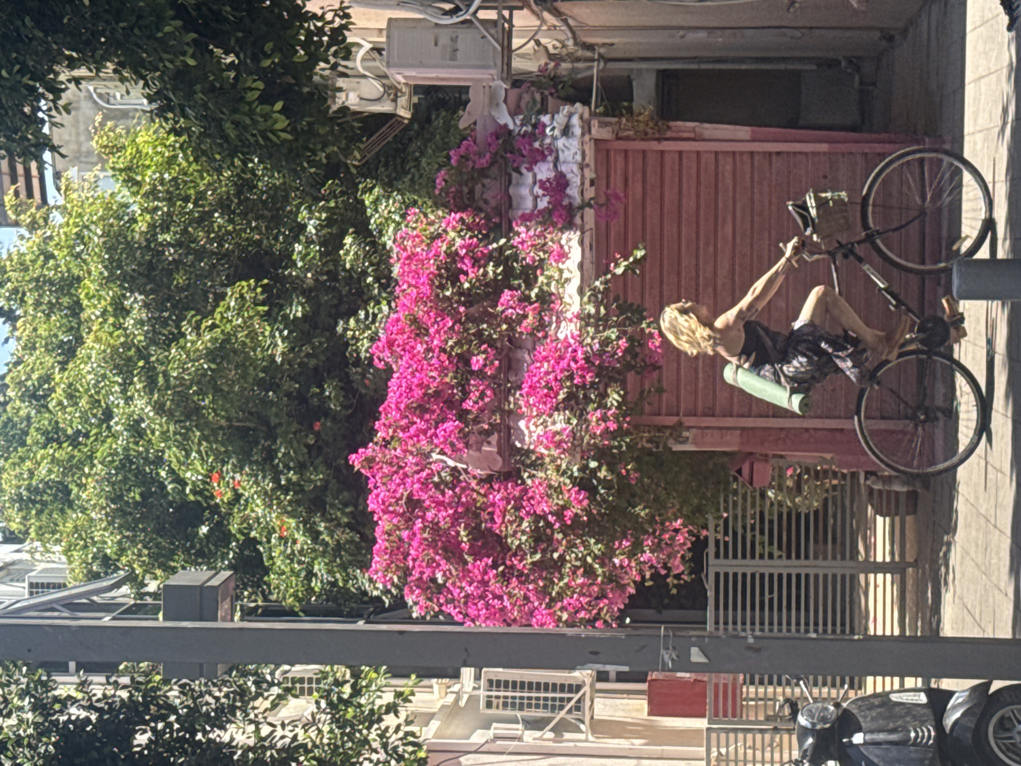 A vertically oriented, eye-level shot of a Tel-Aviv street scene, Israel. A woman is stretching near a pink bougainvillea in front of a salmon-colored wall on which a bicycle is hung. She has blonde hair, is wearing a dress and is barefoot. A green yoga mat is visible behind her. A motorbike is parked on the street. Buildings and trees surround the scene.