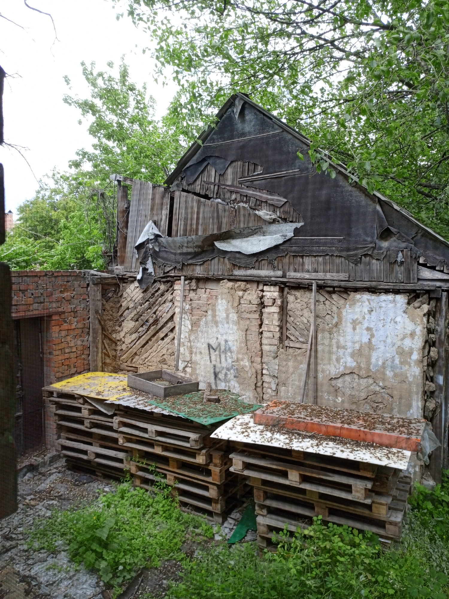 An old, dilapidated shed stands at an unknown location in the city of Unknown, Unknown. The shed has a decaying wooden roof with missing sections and tattered material. The walls show cracked plaster and exposed brickwork. Several wooden pallets are stacked in front of the shed, some painted yellow, green, or orange. Weeds and small plants grow around the base of the pallets and in the surrounding area. A brick building with a metal door is visible to the left of the shed. Overhanging trees and foliage surround the structure.