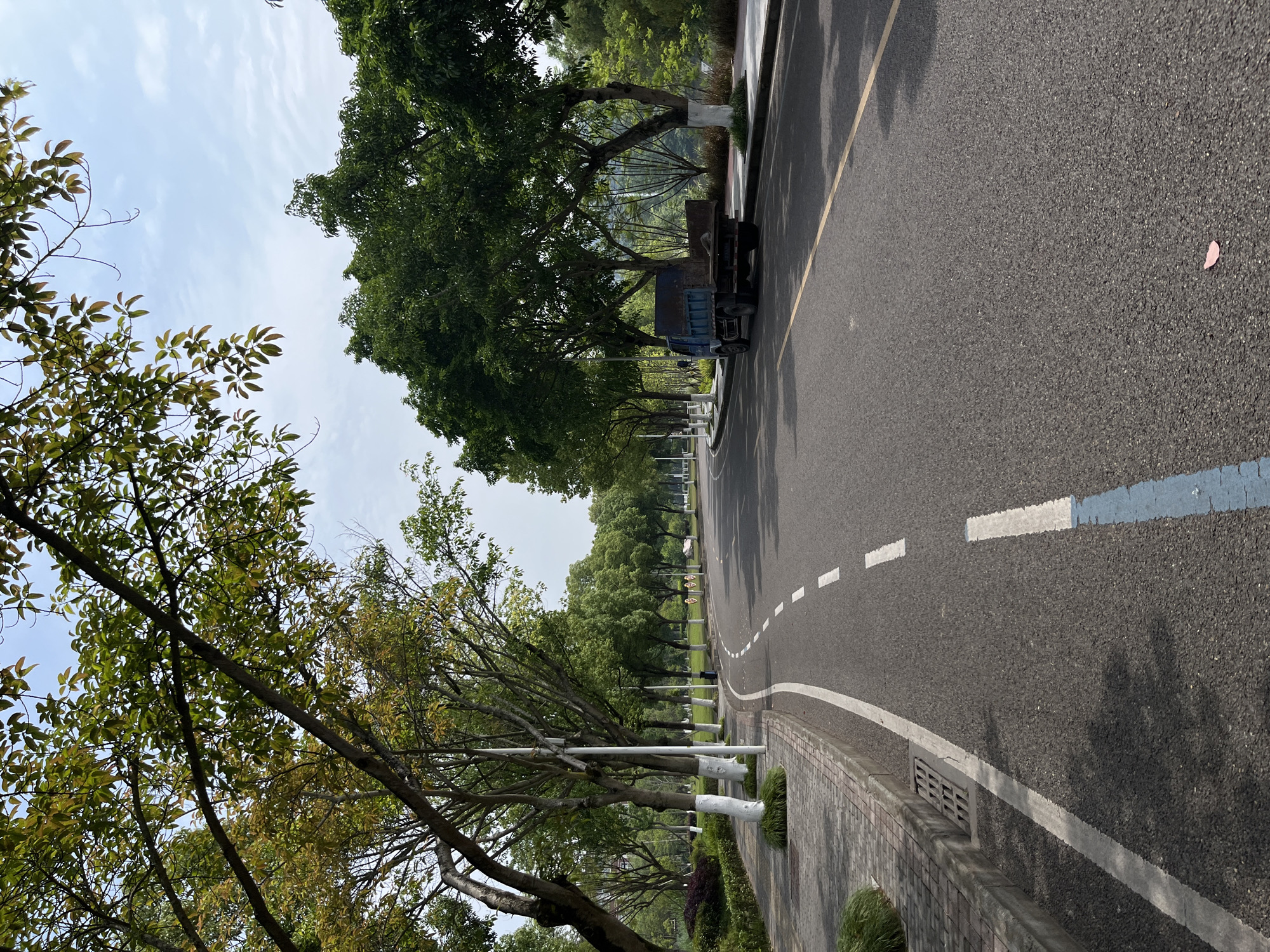 A street scene in Chongqing High-tech Zone, China. The road curves slightly to the right, marked with a dashed white line. A small blue truck is parked on the right side of the road. The road is bordered by trees and white posts on the left side. There is a patch of pink debris on the road. The sky is partly cloudy. The road appears to be asphalt. A curb and sidewalk run along the left side of the road.