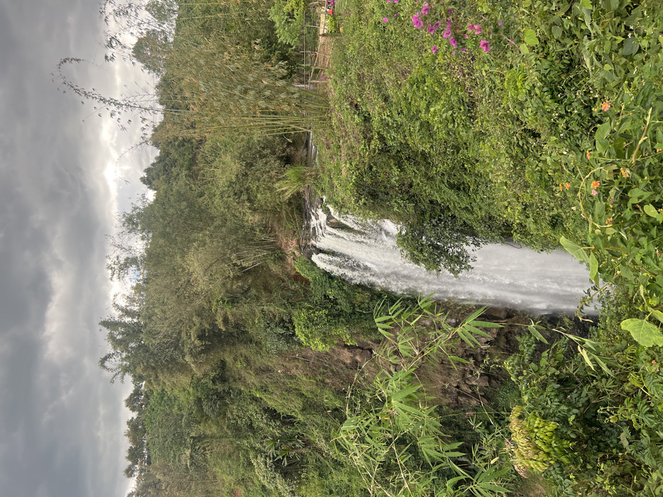 A towering waterfall, approximately 20-30 meters high, cascades down a dark, rocky cliff face into a pool below, surrounded by dense, lush green vegetation. The waterfall itself is a prominent vertical white stream of turbulent water. The cliff face exhibits dark grey rock formations interspersed with various green plants and vines. Abundant foliage includes tall bamboo stalks on both the left and right, with visible bamboo leaves in the foreground. Various broadleaf trees and shrubs cover the upper slopes and the surrounding terrain. In the lower right foreground, a cluster of small pink and purple flowers is visible amidst the greenery. At the upper right, near the origin of the waterfall, a rustic wooden fence or railing borders a dirt path, suggesting a viewing area or trail. The sky above is overcast, filled with thick, dark grey clouds. No individuals or animals are present. The location is Go Lao Waterfall (Thác Gò Lao), situated in Mai Châu District, Hòa Bình Province, Vietnam.