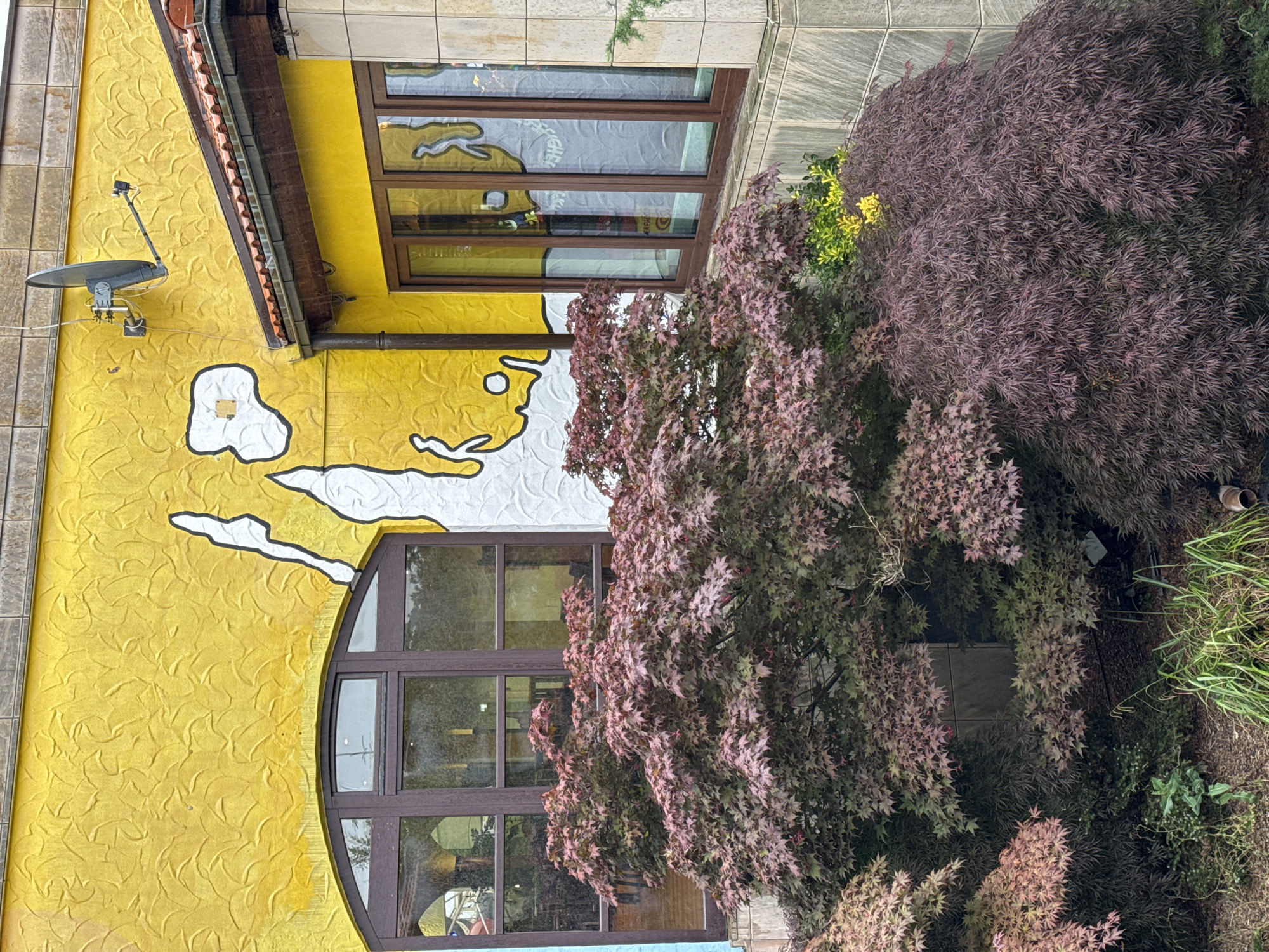 The image depicts a building facade with a vibrant yellow, textured wall adorned with a white, abstract design outlined in black. To the left, a large arched window with dark brown frames reveals the interior of a room. To the right, a smaller set of windows with similar frames is visible. A satellite dish is mounted on the upper section of the yellow wall. The building's roof features red tiles. In front of the building, several Japanese maple trees with deep red foliage create a lush foreground. The environment appears to be an outdoor setting, possibly a garden or public space. The image was taken in Leverkusen, Germany.