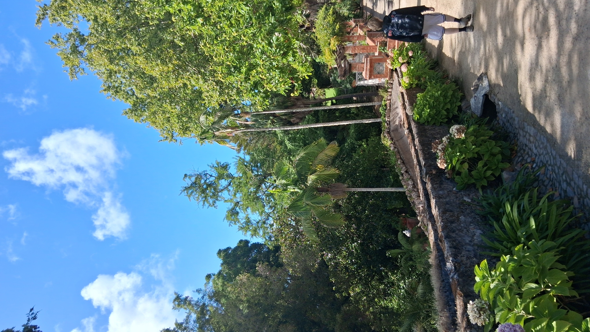 In Sintra (Santa Maria e São Miguel, São Martinho e São Pedro de Penaferrim), Portugal, a person with blonde hair and a backpack walks on a gravel path through a lush garden. The person is wearing a black hoodie with a graphic design on the back and white shorts with blue stripes, and grey athletic shoes. The path curves to the right, bordered by a low, stone-lined channel on the left, filled with green foliage and hydrangeas. Beyond the channel, a dense forest with various trees, including palm trees, creates a green backdrop under a bright blue sky with scattered white clouds. To the right of the path, architectural elements with reddish-brown accents and ornate detailing are visible amongst the greenery. Sunlight casts shadows on the path and illuminates the scene.