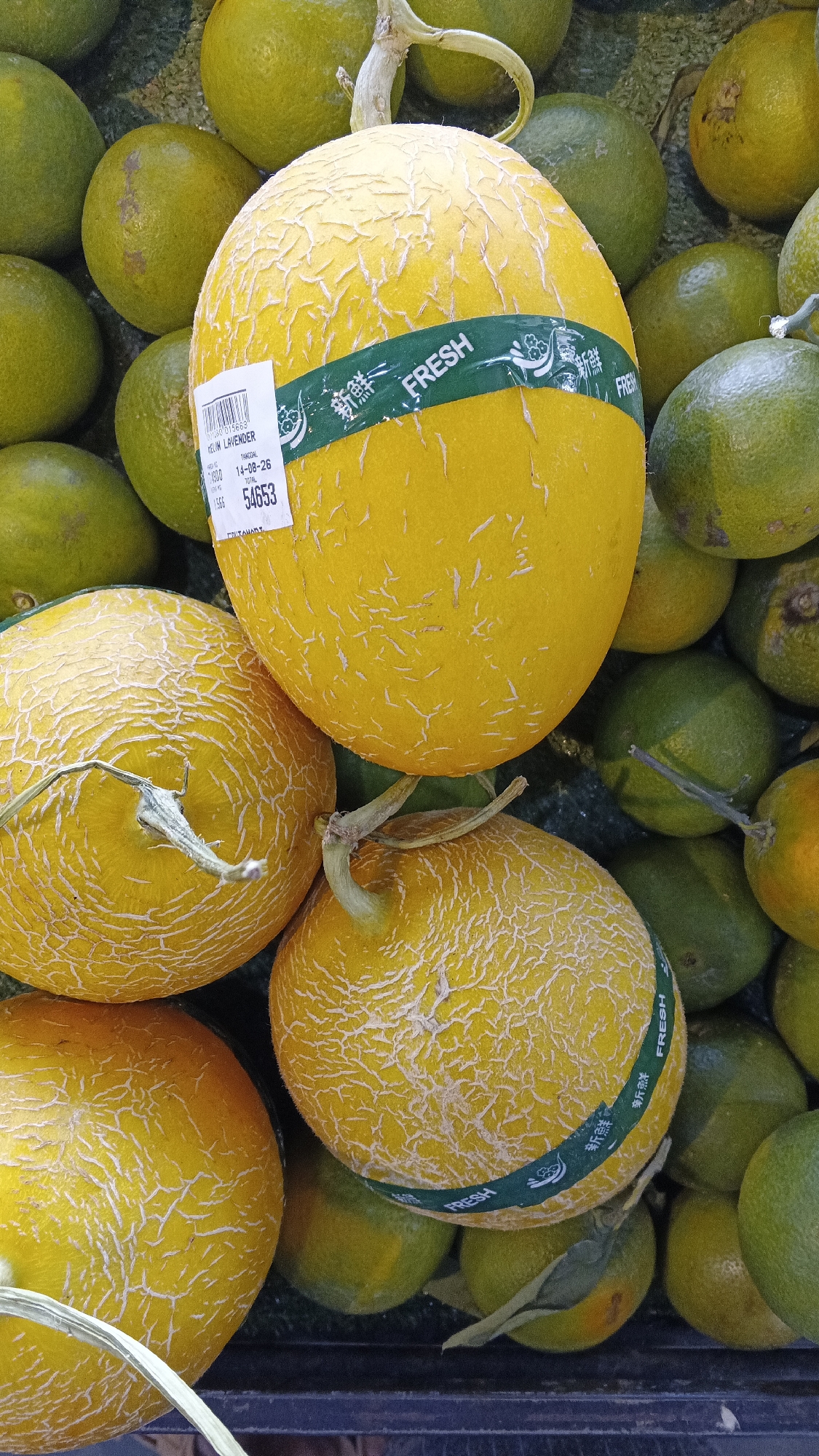 This image captures a close-up, top-down view of a collection of yellow cantaloupes and small green citrus fruits, possibly limes or oranges, displayed in what appears to be a market stall. The fruits are arranged in a dense pile, with the cantaloupes dominating the foreground and midground, and the green citrus fruits filling the background. One cantaloupe in the upper center is particularly prominent, wrapped with a green band that reads "FRESH" in English and Chinese characters. A white sticker is affixed to this cantaloupe, displaying product information. The cantaloupes exhibit the characteristic netted skin pattern, with variations in color from pale yellow to a deeper golden hue. The green fruits are smooth-skinned and uniformly colored. The overall impression is one of abundant fresh produce, likely for sale. The scene suggests a location in Ambarketawang, Indonesia, given the contextual information provided. The lighting is natural, highlighting the textures and colors of the fruits. There are no people visible in the image.