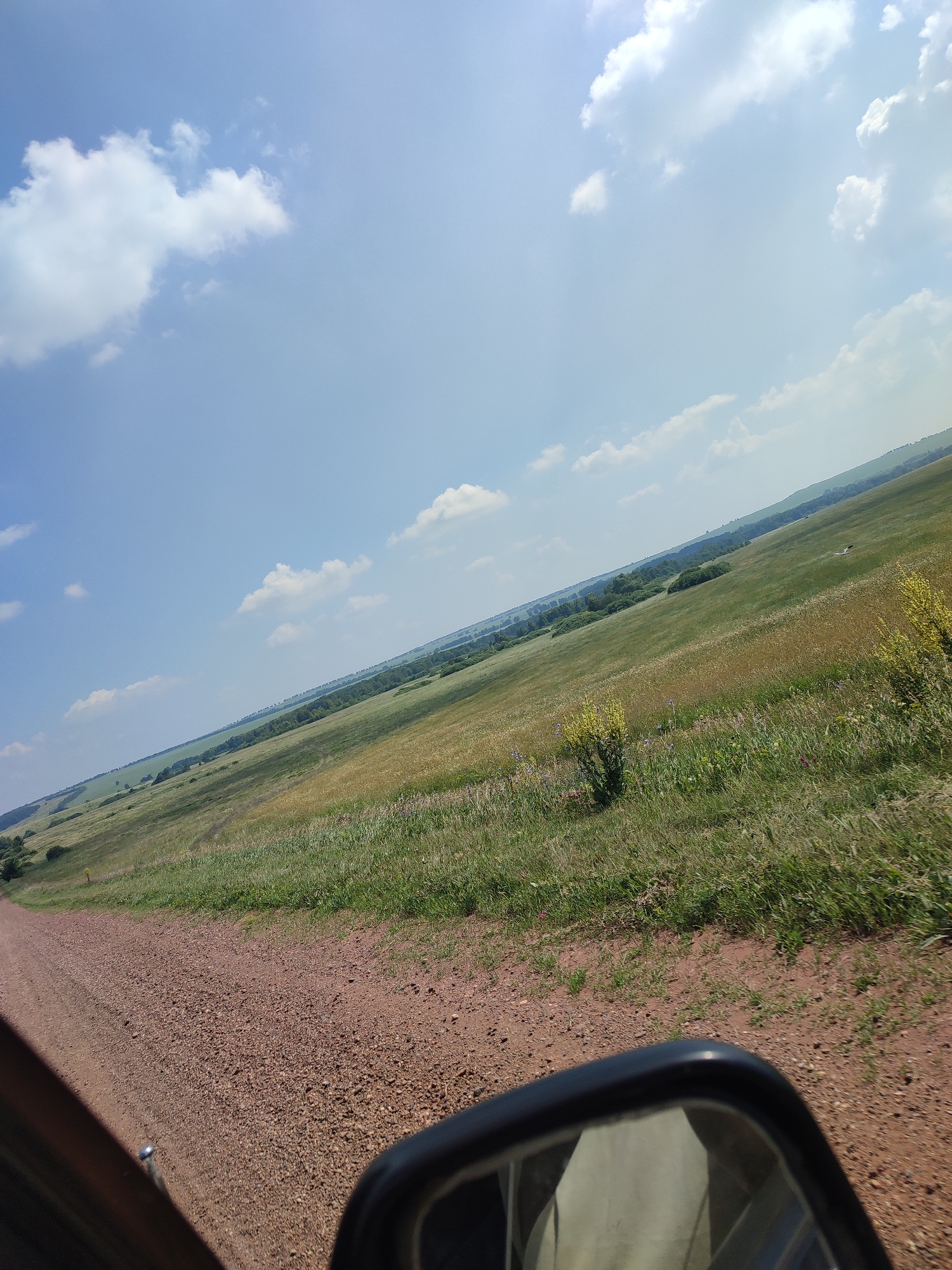 The image depicts a rural landscape with a dirt road in the foreground and a vast, rolling field stretching into the distance. The field is covered in a mix of green and golden grasses, with scattered wildflowers and small bushes. A line of trees borders the field in the middle ground, and beyond that, the land continues to undulate under a bright blue sky dotted with white clouds. A car's side mirror is visible in the lower right corner of the frame, reflecting a portion of the sky and some light-colored objects, likely the interior of the car. The scene suggests a sunny day in a countryside setting. There are no identifiable people or specific structures visible in the image. The location is identified as Bakhmut, Russia.