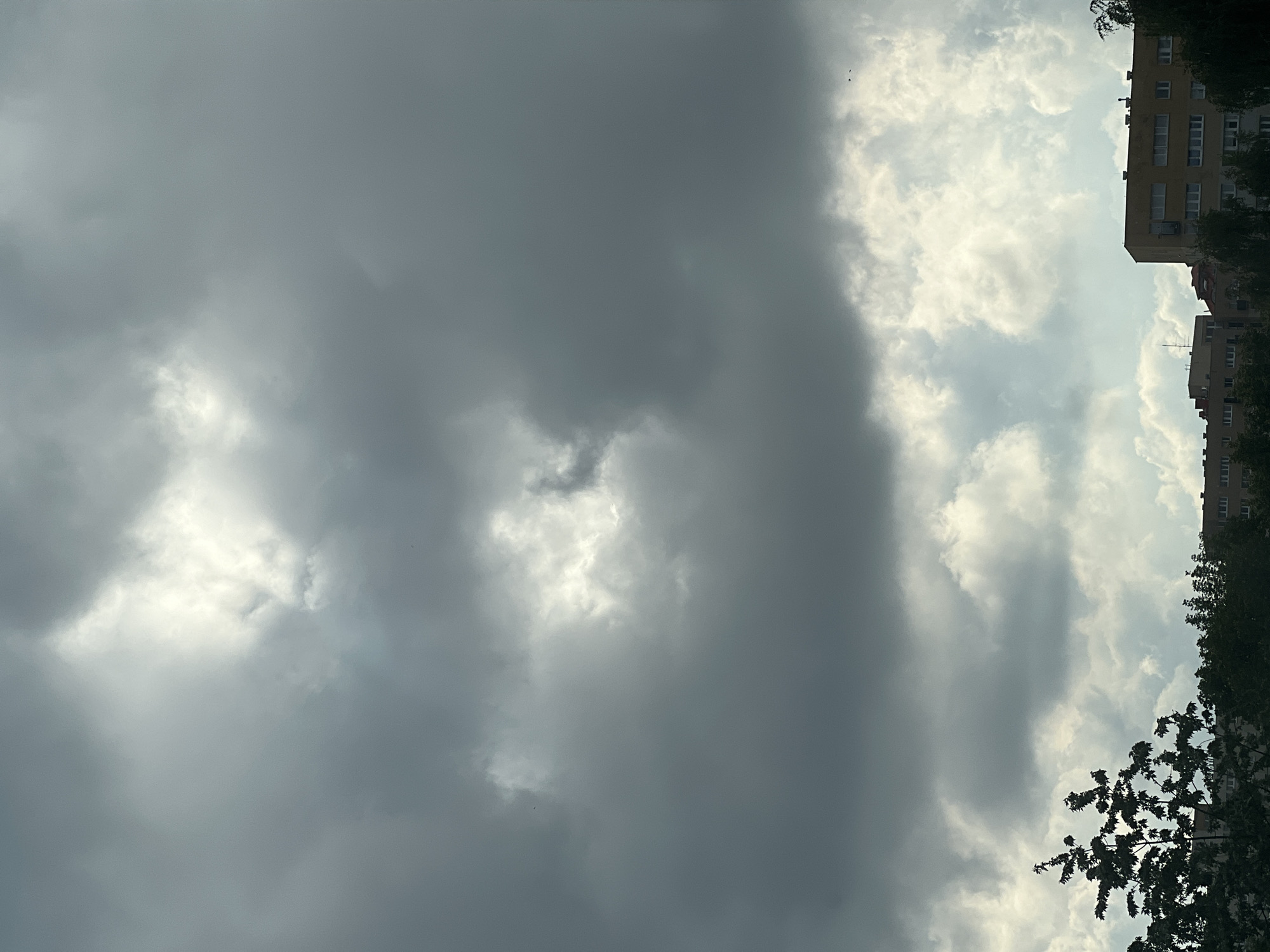 A dark, overcast sky dominates the upper portion of the image, with patches of light breaking through the thick clouds. Below the sky, a dense line of trees runs horizontally across the frame, interspersed with several multi-story residential buildings. On the left side of the image, a leafy tree with dark branches extends upwards into the sky. The buildings are of various heights and architectural styles, with visible windows and some rooftop structures. Two small birds are visible in the sky. The scene appears to be a view of an urban residential area, likely in Warsaw, Poland, given the characteristic apartment buildings.
