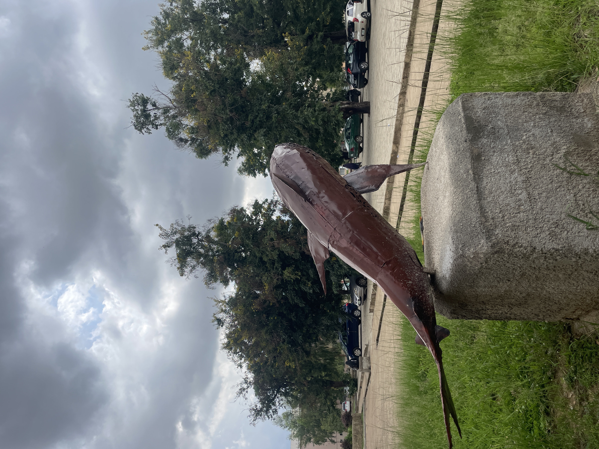 This image, captured in Jos, Nigeria, presents an outdoor scene featuring a prominent metallic sculpture under a cloudy sky.
The central subject is a large, dark reddish-brown sculpture of a marine animal, possibly a dolphin or a swordfish, crafted from welded metal plates. It appears to be leaping or emerging from the ground, with its tail end anchored near a substantial, rough-textured grey stone block. The sculpture's surface shows some wear and texture from its construction.
Lush green grass covers the ground in the foreground and around the base of the sculpture and the stone block. In the mid-ground and background, dense green trees with leafy canopies line a paved area. Beyond the trees, a paved road or driveway is visible, where several cars are parked. These include a white car, a dark blue car, and a dark green car. A paved sidewalk or path also runs parallel to the road.
The sky is heavily overcast with grey clouds, suggesting a cloudy daytime setting, possibly late morning or afternoon. Some lighter patches of sky are visible through the clouds. No people or specific activities are taking place in the image, giving the scene a serene, static quality. There is no visible text in the image. The overall impression is of a public art installation set within a green, urban or semi-urban environment.