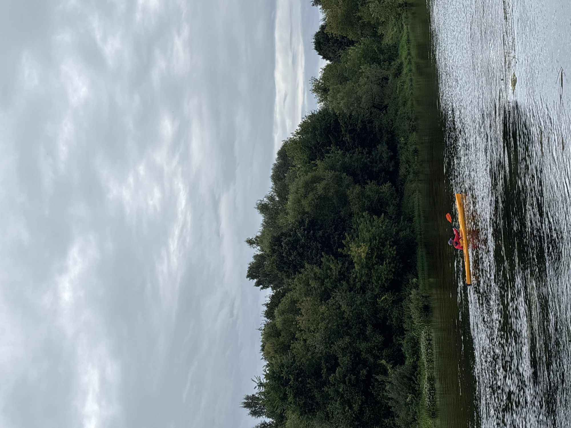 A person in a red jacket and a blue cap is kayaking in a yellow kayak on a river. The kayak is moving from left to right across the frame, leaving a wake. The riverbank on the far side is densely covered with green trees and bushes. The sky is overcast with gray clouds. The scene appears to be the Moscow River in Zvenigorod, Russia, a scenic area known for its natural beauty and historical sites.