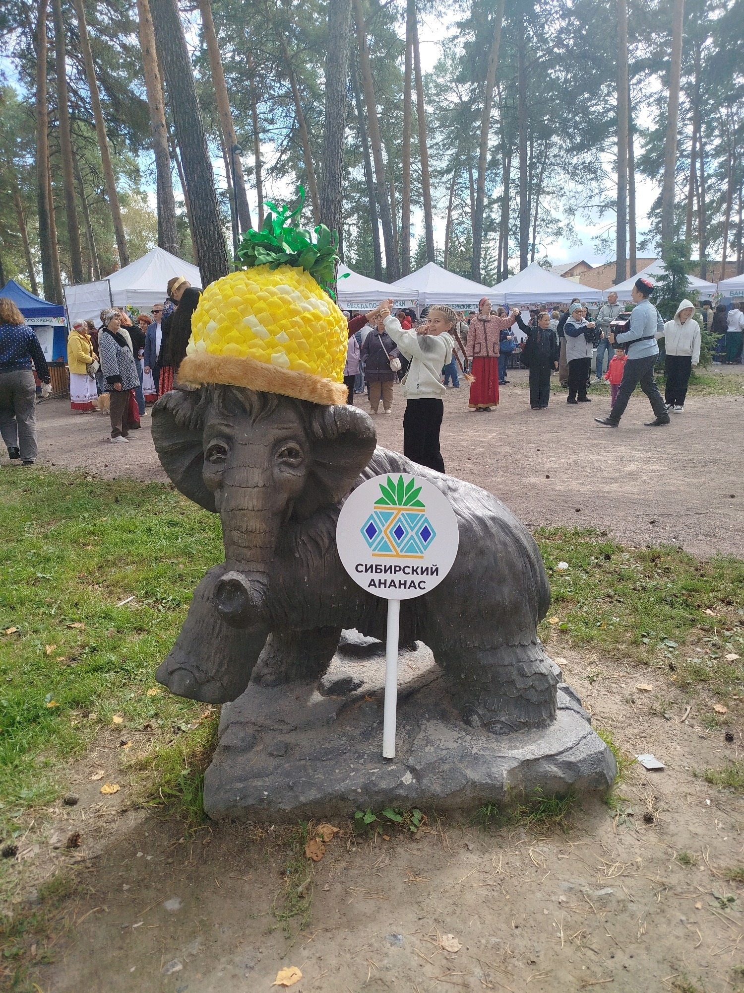 In Zavodoukovsk, Russia, a statue of an elephant wearing a large, yellow pineapple hat stands on a rock base amidst a festival. The elephant statue is dark gray, with carved details on its skin and a slightly tilted head. The pineapple hat is made of bright yellow material, textured to resemble pineapple scales, with green leafy tops. A white circular sign with an image of a pineapple and text in Cyrillic, "СИБИРСКИЙ АНАНАС" (Siberian Pineapple), is mounted on a white pole in front of the statue.
Behind the statue, a crowd of people are visible, some walking and others gathered around stalls set up under white tents. The stalls display signs with Cyrillic text, suggesting vendors or information booths. The environment is an outdoor area with a dirt path and grassy areas dotted with fallen pine needles and leaves. Tall pine trees with dark trunks and green foliage form a backdrop, indicating the location is within a forested area. The sky is overcast with patches of blue. The people are dressed in casual clothing suitable for cool weather. Some individuals are looking towards the statue, while others are interacting with each other or engaged in activities at the stalls. A young woman with braided hair is seen dancing or posing with her arms raised. A person holding a camera or phone is filming a group of people playing an accordion. The overall atmosphere appears to be that of a community event or fair held in a park-like setting.
