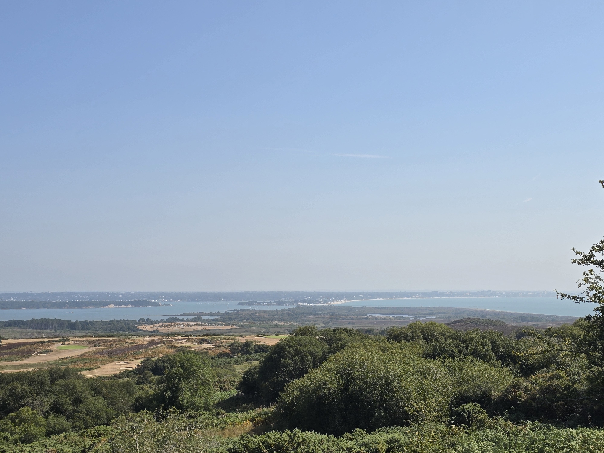 An elevated, wide-angle, panoramic landscape view captures a sunny day with a clear, light blue sky dominating the upper portion. The foreground is filled with dense, dark green, heathland vegetation, including bushes and ferns. Beyond the immediate vegetation, the middle ground reveals a rolling landscape of dry, golden-brown grasslands interspersed with patches of green. This area features subtle undulations and hints of man-made structures, possibly part of a golf course with visible sand traps and manicured greens.
Further in the distance, a wide expanse of calm, light blue water stretches horizontally across the frame, suggesting a large bay or estuary. Along the far edge of the water, a distant coastline is visible, characterized by a pale, hazy line of buildings and infrastructure. Scattered white specks on the water indicate the presence of boats. The overall atmosphere is serene and natural, with the landscape appearing largely undeveloped except for the distant coastal town and the visible golf course elements. The scene is static, with no visible people or animals. The location appears to be a scenic viewpoint overlooking a coastal area near Corfe Castle, United Kingdom, given the terrain and the body of water.