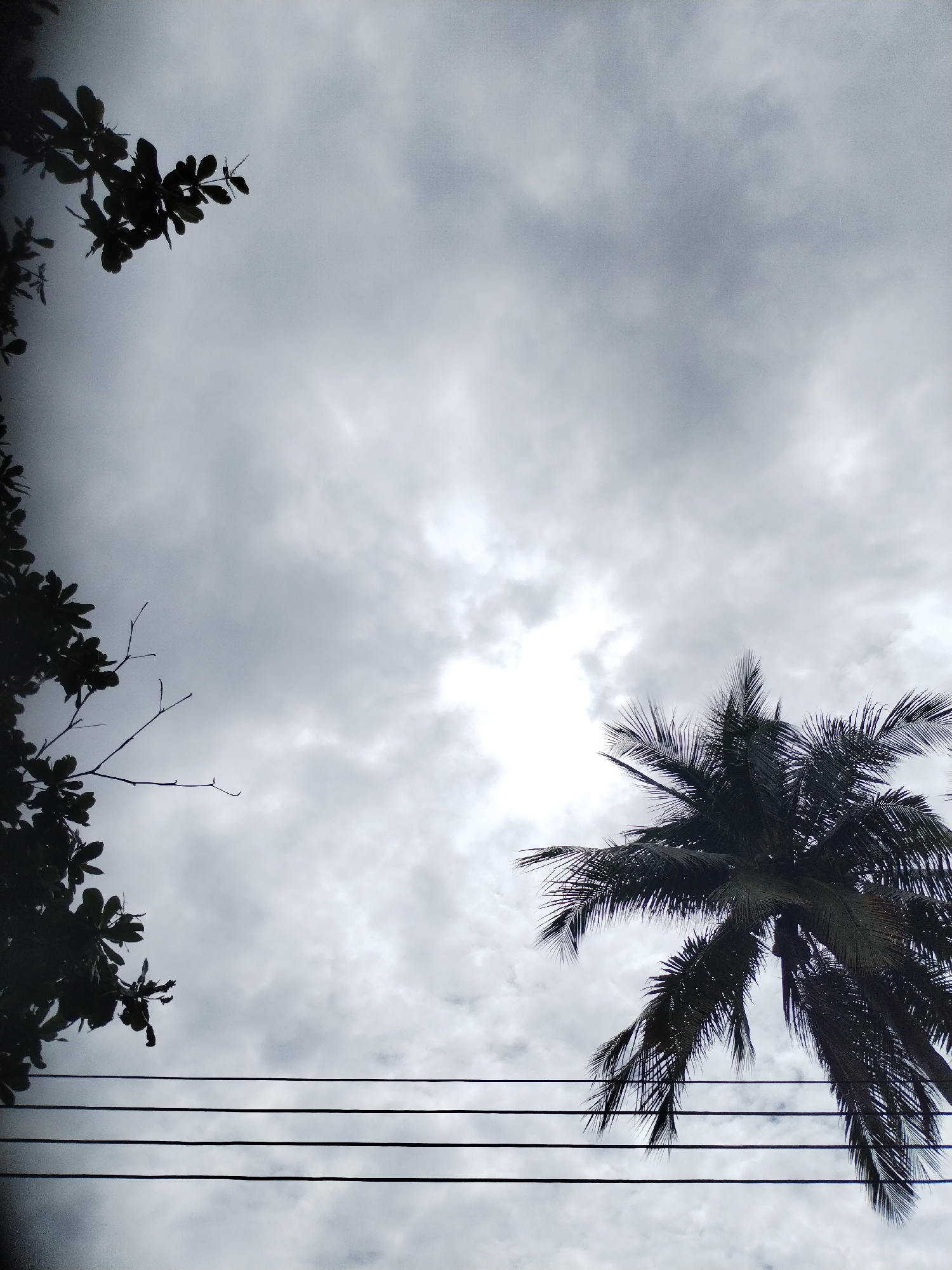 The image captures a dramatic sky filled with heavy, grey clouds, with a bright, intense spot of light peeking through near the center, suggesting the sun is directly behind the cloud cover. The scene is dominated by silhouettes against this overcast sky.
On the left side, the dark silhouette of a leafy tree extends into the frame, with some bare branches visible lower down. On the right, the distinct silhouette of a palm tree, likely a coconut palm, stretches upwards with its characteristic fronds.
Running horizontally across the lower part of the frame are three parallel utility lines, dark against the lighter sky, passing between the two tree elements.
The weather appears overcast and cloudy, but it is daytime, indicated by the intense brightness emanating from behind the clouds. There is no visible activity or people in the frame. The vegetation (palm tree and broad-leafed tree) is consistent with the tropical climate of Nha Trang Ward, Vietnam, which is the provided location context. No text is visible in the image.