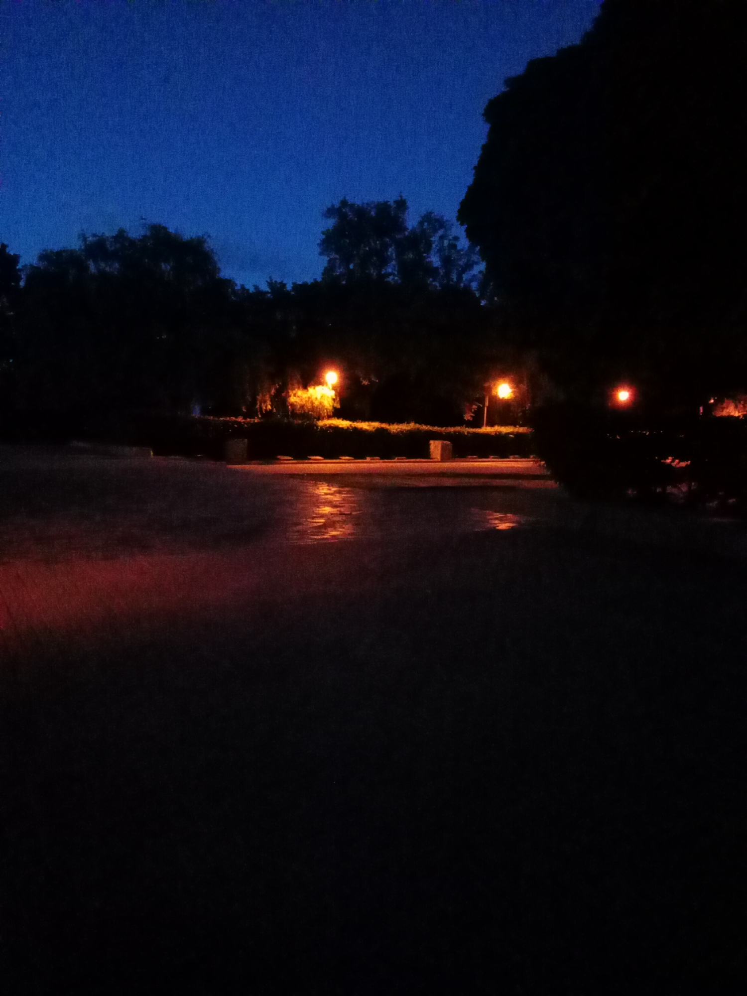 The image depicts a night scene in Poltava, Ukraine. The foreground is dominated by a dark paved area, likely a street or walkway. Three illuminated streetlights cast an orange glow on the scene, illuminating the ground and surrounding foliage. The middle ground features a line of shrubbery with trees silhouetted against the dark blue night sky. The overall impression is one of a quiet, dimly lit urban area at night.