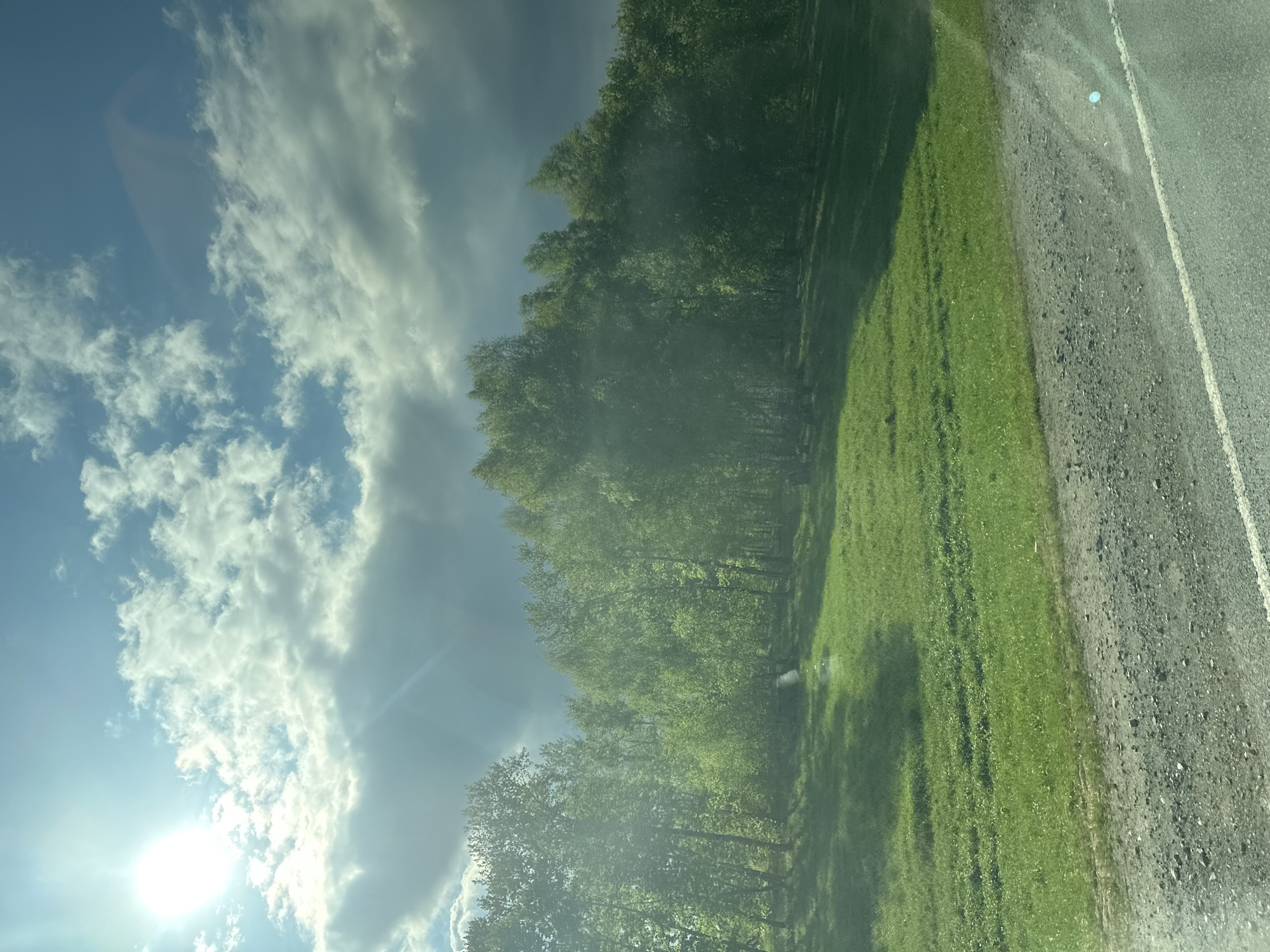 The image shows a roadside scene under a partly cloudy sky, likely taken from a moving vehicle. The sun is visible in the lower left corner. A row of trees lines the left side of the frame, bordering a grassy area. A road is visible to the right, with a white line marking the edge. The location is Bezmenovo, Russia.