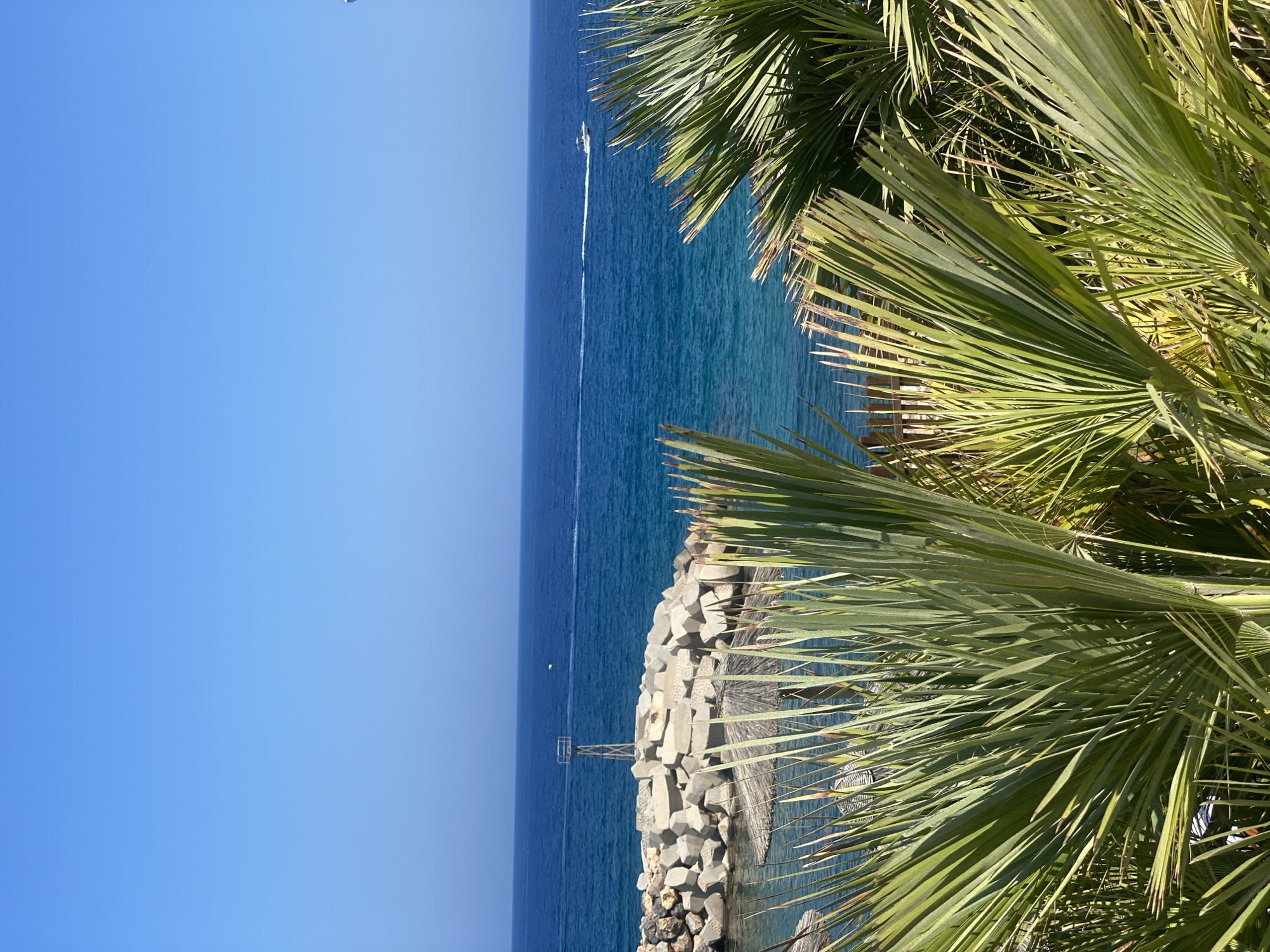 The image shows a coastal scene in Panormos, Greece, with palm fronds in the foreground. The sea is a vibrant blue, with a white boat leaving a wake in the distance. A breakwater made of large concrete blocks protects a small harbor. A metal structure, possibly a navigational aid, stands on the breakwater. The sky is a clear, cloudless blue. In the harbor, a thatched umbrella is visible.