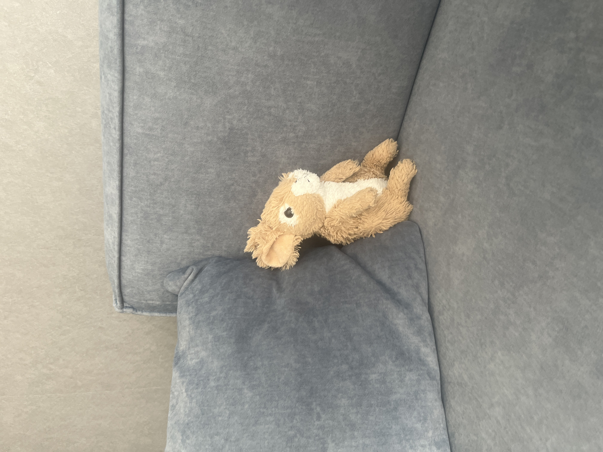 A small, tan stuffed rabbit toy with white accents is sitting on a gray sofa. The rabbit is facing to the right and looking slightly upward. The sofa appears to be in a living room or a similar domestic setting. The background wall is a light beige color with a textured finish. No other people or objects are visible in the frame. The image provides no information about the city of Rybnitsa, Moldova, or any context outside of the immediate scene.