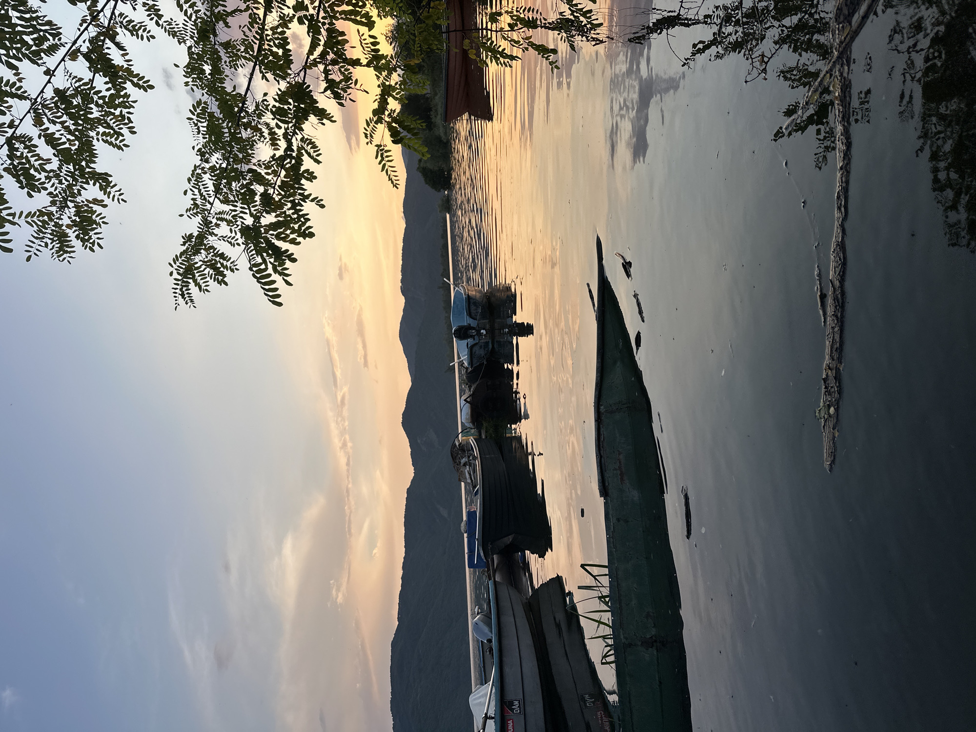 The image captures a serene landscape at what appears to be either sunrise or sunset, set in Glavatartsi, Bulgaria. The scene features a calm body of water, likely a lake or river, with multiple small boats docked or anchored near the shore.
The time of day is characterized by a warm, soft golden light that illuminates the right side of the sky and reflects intensely on the water's surface, creating a peaceful "golden hour" ambiance. The sky transitions from a soft blue on the left to a vibrant orange-gold on the right, with scattered wispy clouds. Distant mountains form a dark, undulating silhouette across the horizon, separating the sky from the water.
In the foreground, prominent tree branches with numerous small leaves hang from the upper left, silhouetted against the lighter sky, framing the scene. Several boats are visible on the water. A large, dark green boat, appearing rustic and possibly partially submerged or very low in the water, dominates the right foreground. Other smaller boats, some resembling fishing vessels, are clustered further back. Their reflections, along with those of the mountains and sky, are clearly visible on the still water, which also shows gentle ripples and some floating debris like leaves or small branches. Some reeds or grasses grow near the water's edge by the boats.
No people are visible in the image, contributing to the tranquil and undisturbed atmosphere. The weather appears calm and clear. Visible text on some boats includes "UNA" and "DAM" (or "DUM") on one smaller boat, and "MAJA" (or "MAYA") on another. Faint letters like "PER" or "HER" and "DA" are partially discernible on the large green boat. The overall scene evokes a sense of natural beauty and quiet contemplation.