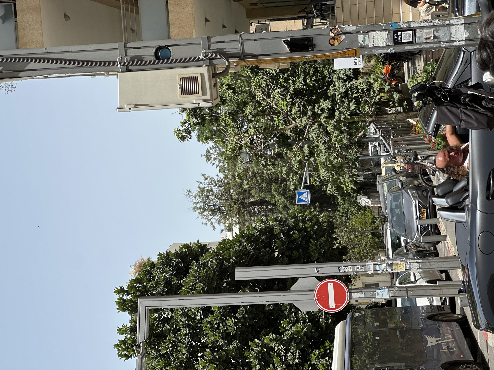 The image depicts a street scene in Tel Aviv, Israel. The foreground features street signs, including a "No Entry" sign (a red circle with a white horizontal bar) and a pedestrian crossing sign (a blue square with a white walking figure). These signs are mounted on gray metal poles amidst green trees and foliage. Several parked cars are visible on the right, and a man with long, curly hair is sitting in one of them, looking out the window. In the background, more parked vehicles, buildings, and urban infrastructure, such as traffic lights, can be seen. The sky is clear and light blue. Stickers and smaller signs are affixed to the metal poles supporting the traffic signs.