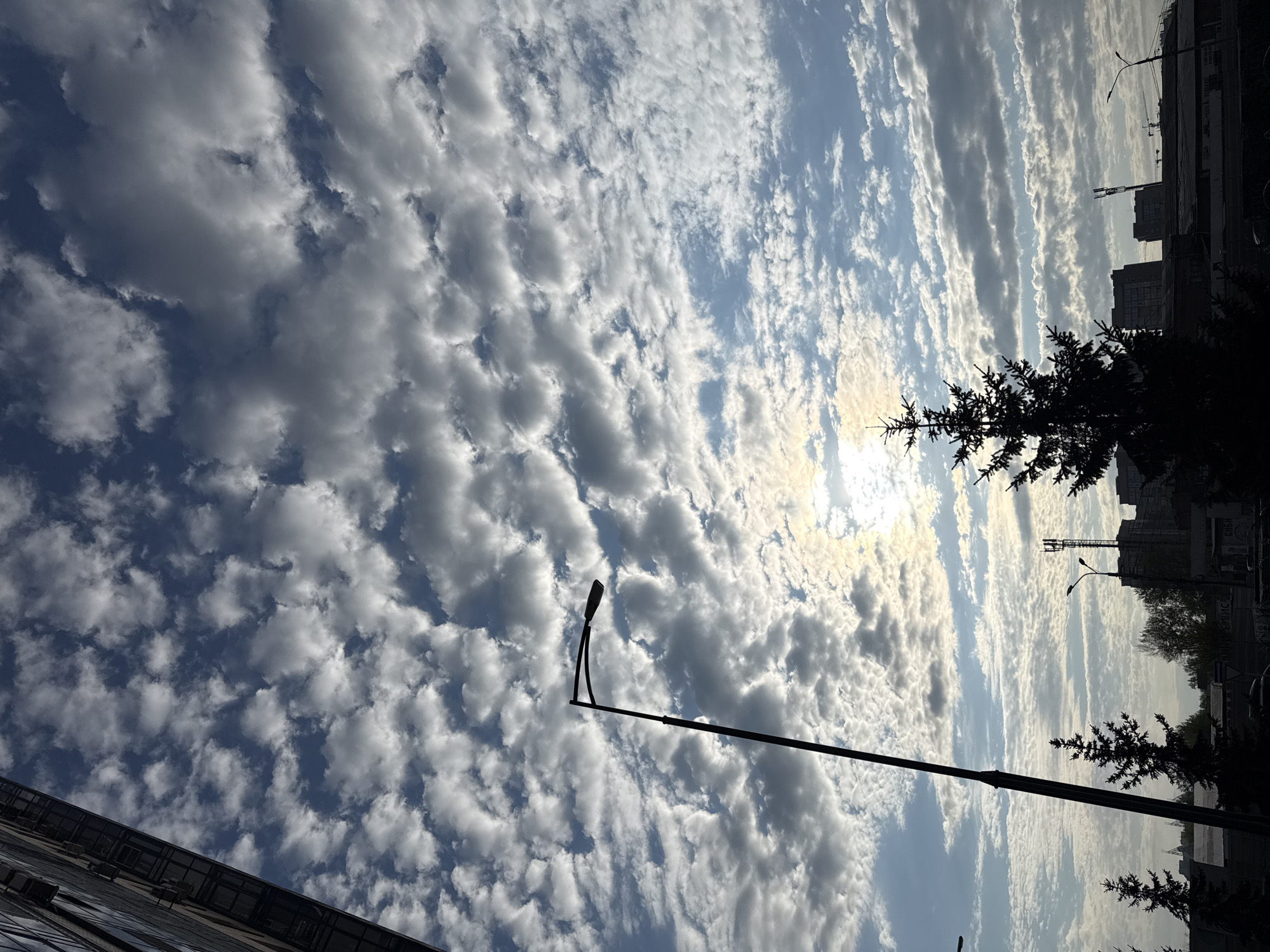 The image shows a cloudy sky above a street scene. The clouds are predominantly white and puffy, with patches of blue sky visible in between. The sun appears to be shining through the clouds, creating a bright spot in the center of the frame.
In the foreground, there is a street lamp, with a long, straight pole. To the right of the lamp post, there is a silhouette of a tree, its branches extending upwards. In the background, there are buildings.
The location appears to be Krasnoyarsk, Russia, based on the style of the architecture and general urban environment.