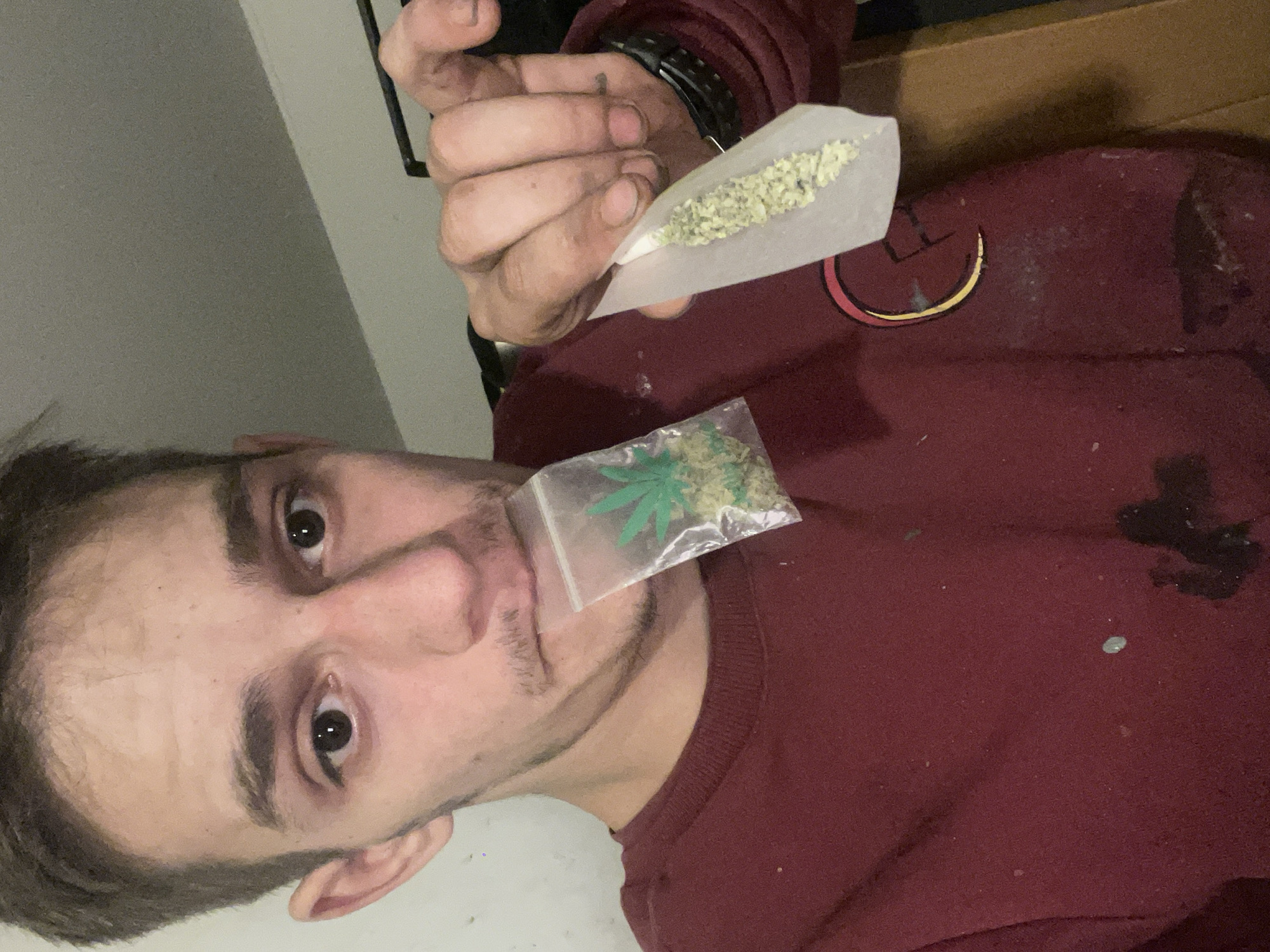 A young man with short brown hair and a thin mustache is shown in a close-up shot. He is wearing a maroon sweatshirt. In his mouth, he holds a small plastic bag containing a green, leafy substance with a cannabis leaf design printed on it. In his right hand, he is holding a rolled-up piece of paper containing a similar green substance, seemingly in the process of being rolled into a cigarette. The background is indistinct, suggesting an indoor setting.