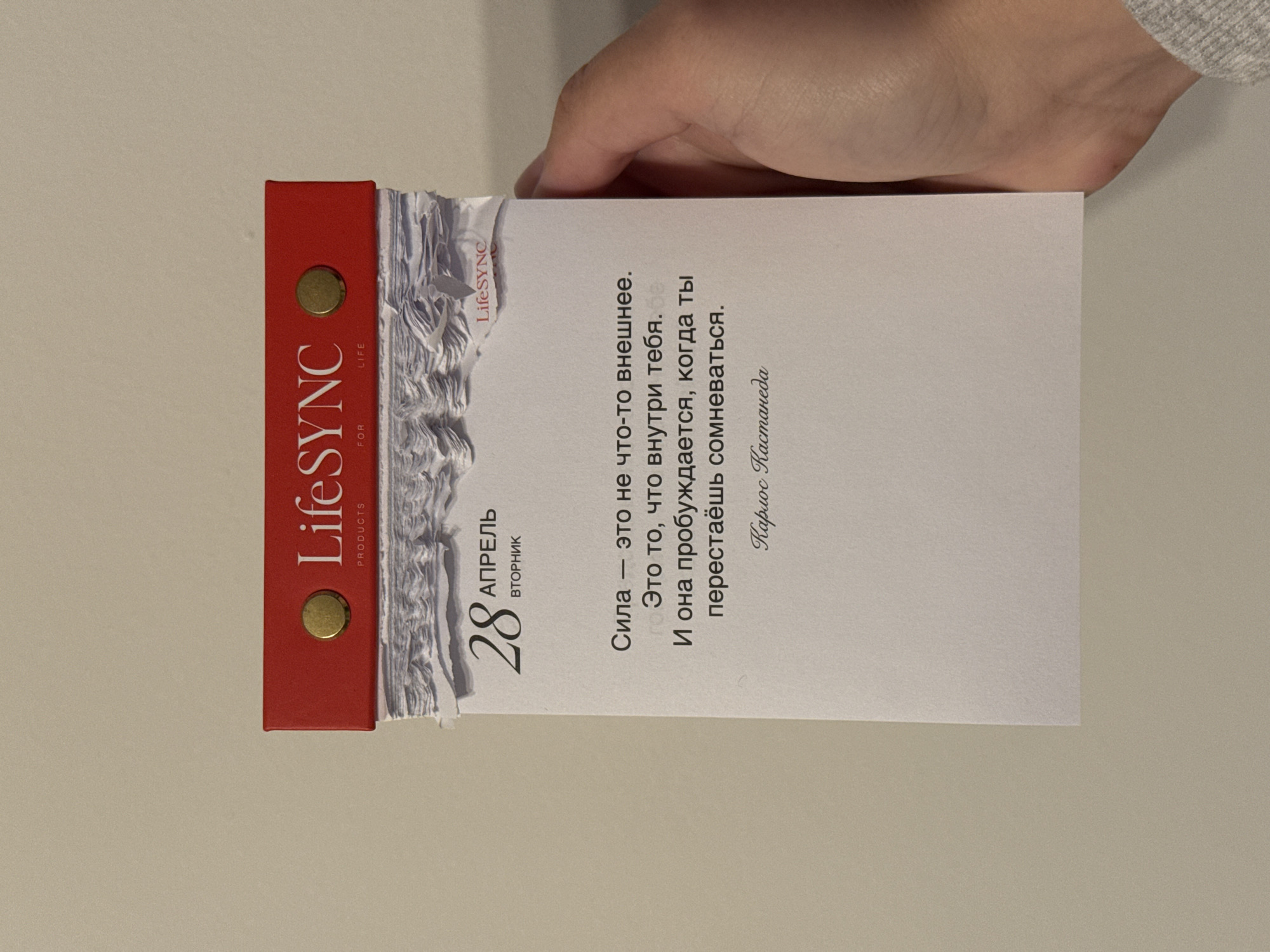 A close-up, slightly overhead shot captures a person's hand holding a red-bound tear-off calendar, presenting a daily quote. The calendar features a prominent red spine with two gold-colored studs and the vertically aligned text "LifeSYNC PRODUCTS FOR LIFE". To the left of the displayed page, a thick stack of previously torn-off pages creates a distinctive wavy, textured edge.
The visible page displays the date "28 АПРЕЛЬ ВТОРНИК" (28 APRIL TUESDAY) on its left side. The main body of the page features a Russian quote attributed to Carlos Castaneda: "Сила — это не что-то внешнее. Это то, что внутри тебя. И она пробуждается, когда ты перестаёшь сомневаться." (Strength is not something external. It is something inside you. And it awakens when you stop doubting.). A small "LifeSYNC" logo is also visible at the top right corner of the page.
A fair-skinned hand, showing fingers and part of the palm, gently grips the top right corner of the calendar. The background is a plain, light, neutral-colored surface, possibly a table or wall. The lighting is soft and even, suggesting an indoor setting. The image itself does not contain specific location cues, but the photo was taken in Belgrade, Serbia. The scene conveys a moment of daily reflection or inspiration.