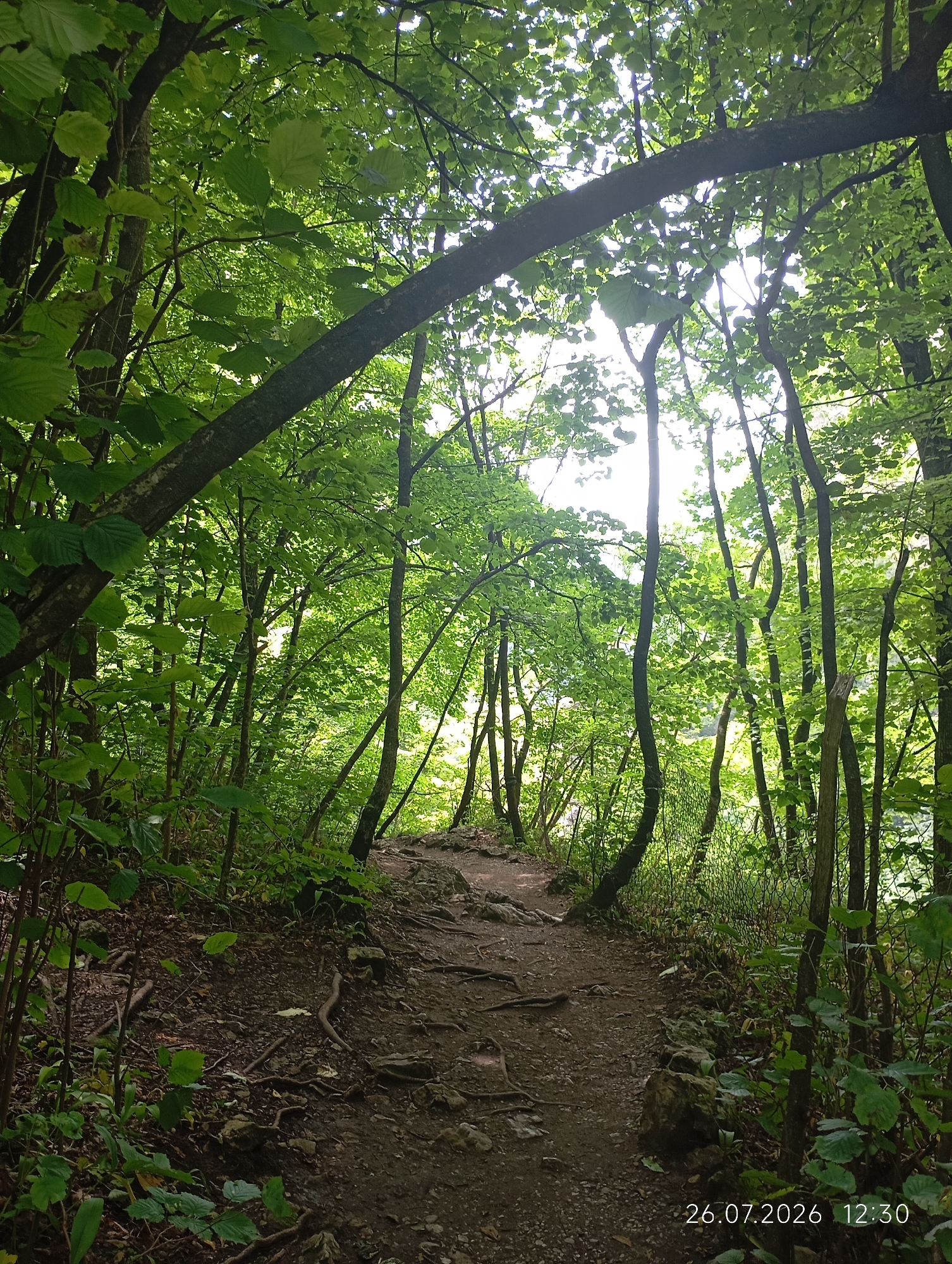 This is a photograph of a dirt path winding through a dense forest. The path is covered with loose dirt, rocks, and exposed tree roots. Tall trees with lush green leaves form a canopy overhead, dappling the path with sunlight. In the foreground, the path curves to the right, disappearing into the trees. On the left side of the path, there is dense undergrowth with various plants and leaves. The scene appears to be a natural trail, likely in a park or wooded area. The timestamp "26.07.2026 12:30" is visible in the lower right corner. The location is identified as Khushto-Syrt, Russia.