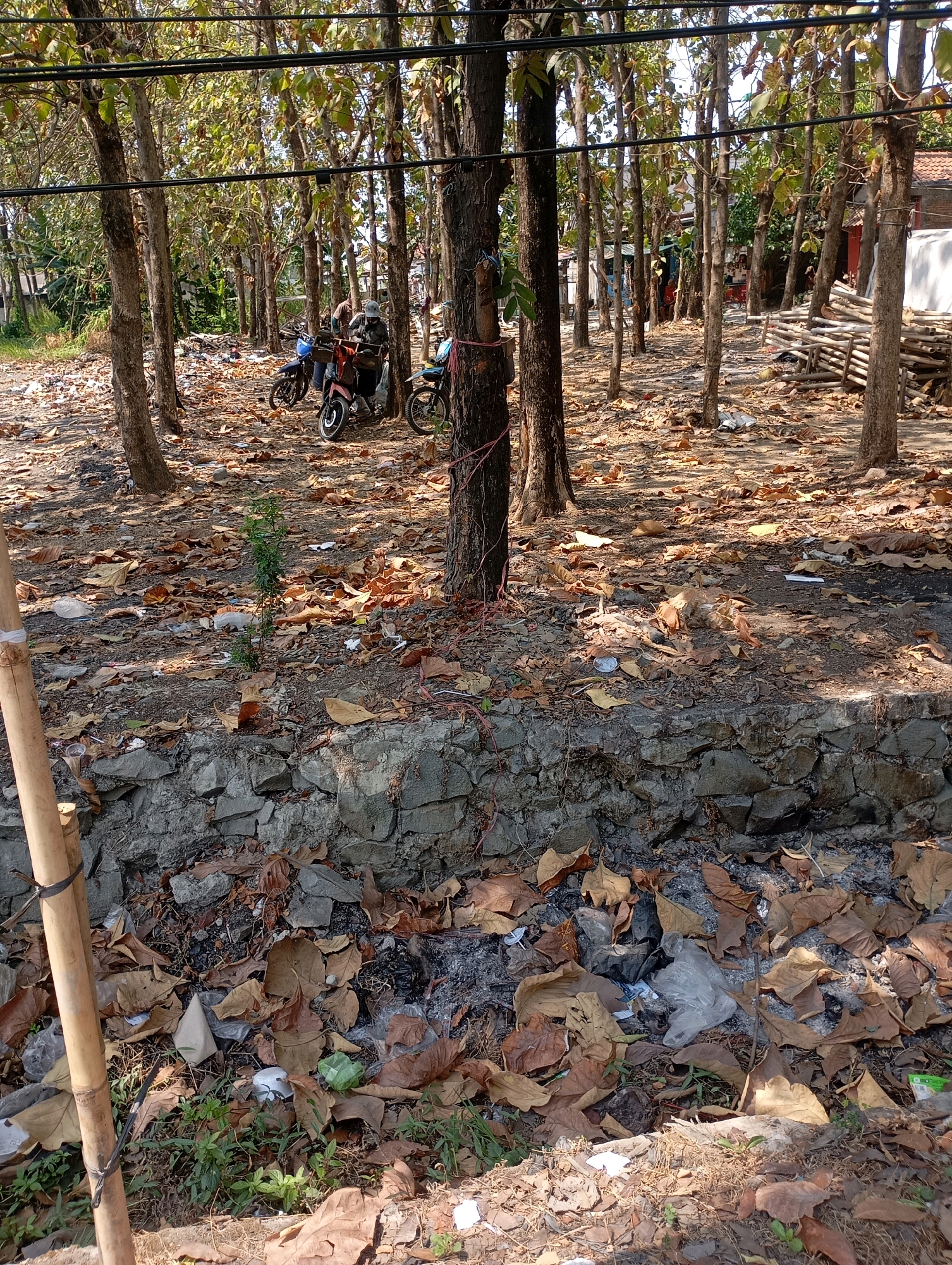 The image depicts an outdoor scene in Babelan, Indonesia. A dirt path lined with trees and fallen leaves dominates the foreground, with a low stone wall separating it from a slightly lower area covered in more debris and vegetation. Several trees, with thin trunks and sparse foliage, are scattered throughout the scene, casting shadows on the ground.
In the middle ground, three motorcycles are parked: a blue one, a pink one, and a white one. Two individuals, dressed in casual clothing, are near the pink and blue motorcycles. One appears to be standing while the other is seated on the pink motorcycle. The background shows more trees, some buildings with red roofs, and a pile of wooden planks. The ground is littered with dry leaves, plastic bags, and other refuse. A bamboo pole stands vertically on the left side of the image, secured with black ties. The overall impression is of a somewhat unkempt outdoor space within a populated area.