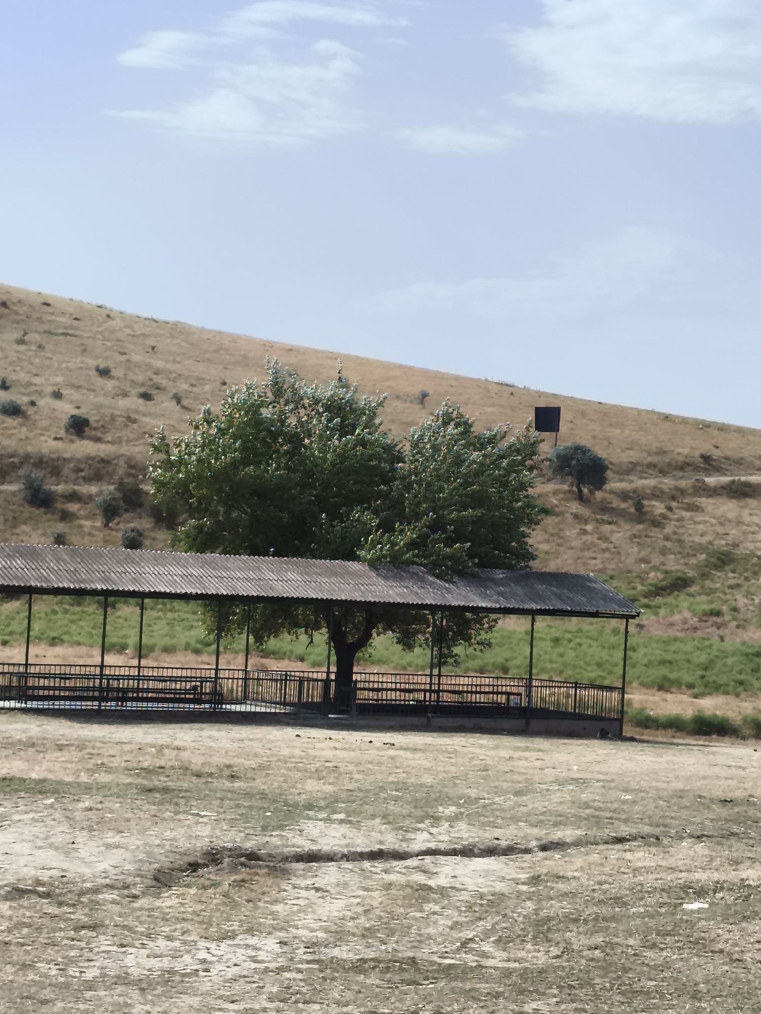The image depicts an outdoor scene in Siazan, Azerbaijan, featuring a shaded picnic area situated at the base of a dry, grassy hillside. The picnic area consists of a long, covered structure with a corrugated metal roof supported by green metal posts. Metal railings enclose the seating area, where benches are visible. Two large, leafy green trees stand behind the structure. The hillside, a dominant feature of the background, is covered in dry, golden-brown grass and scattered bushes. A solitary, dark, rectangular object is positioned on the hillside. The foreground shows a parched, dusty ground with some vegetation and a distinct crack in the earth. The sky above is light blue with sparse, wispy white clouds. The overall impression is of a somewhat arid, rural setting.