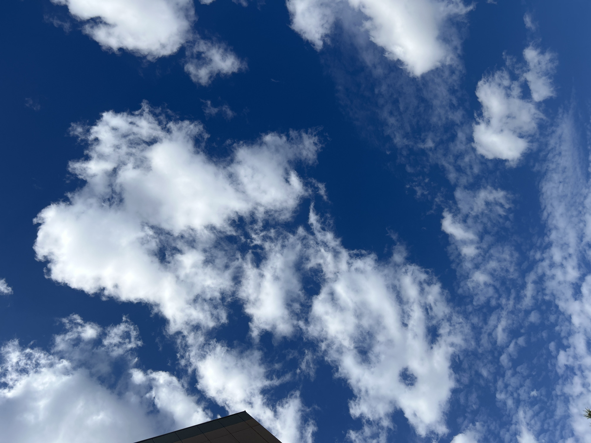 A clear blue sky is dotted with scattered white cumulus clouds. In the upper left corner, a dark-colored building corner is visible, suggesting an urban setting. The scene appears to be an outdoor view, possibly from ground level looking upwards. The image does not contain any people or specific landmarks to identify the city of Astana, Kazakhstan.