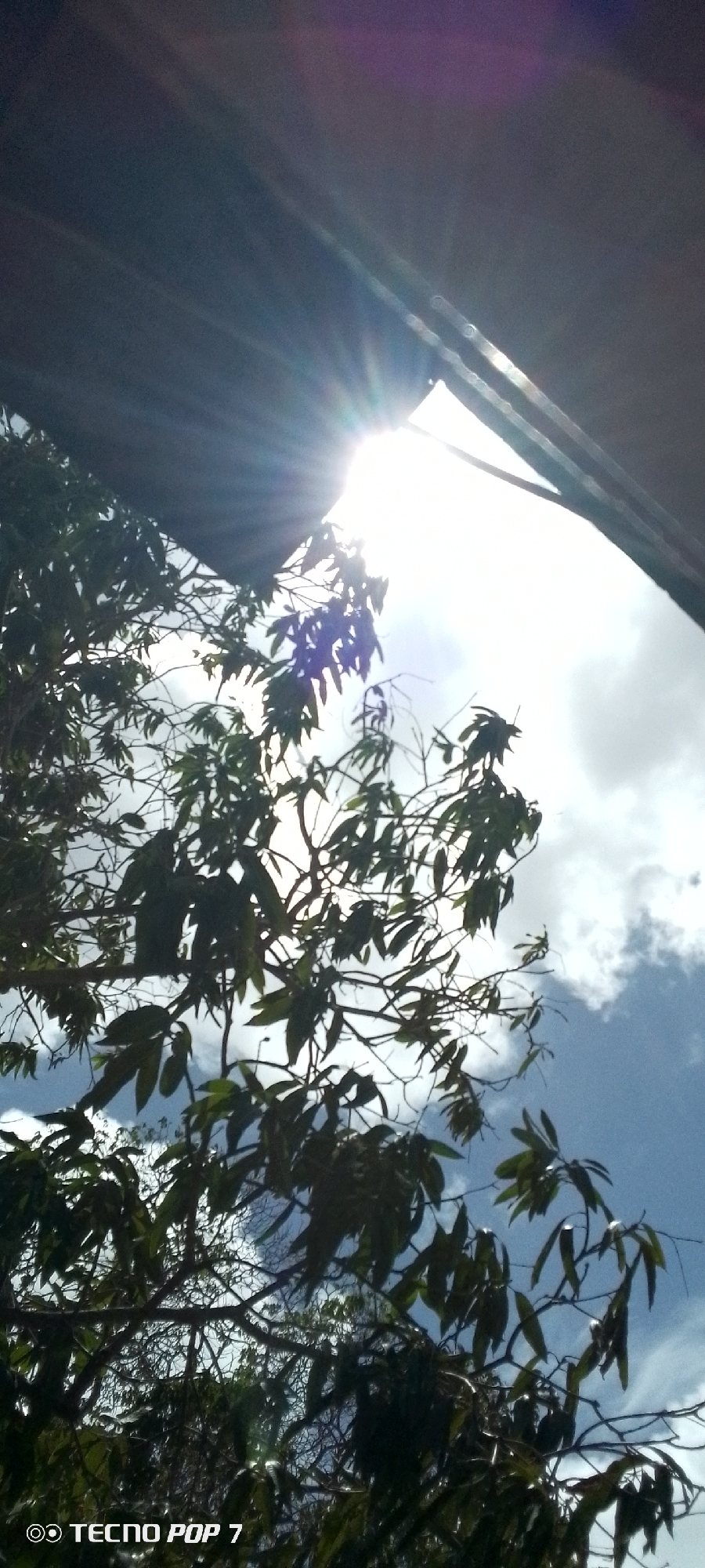 The image, captured by a TECNO POP 7, presents a low-angle view towards the sky in Altagracia, Venezuela. The sky is partly cloudy and sun is visible from behind an awning. In the foreground, the foliage of a tree is partially obscuring the view of the sky.