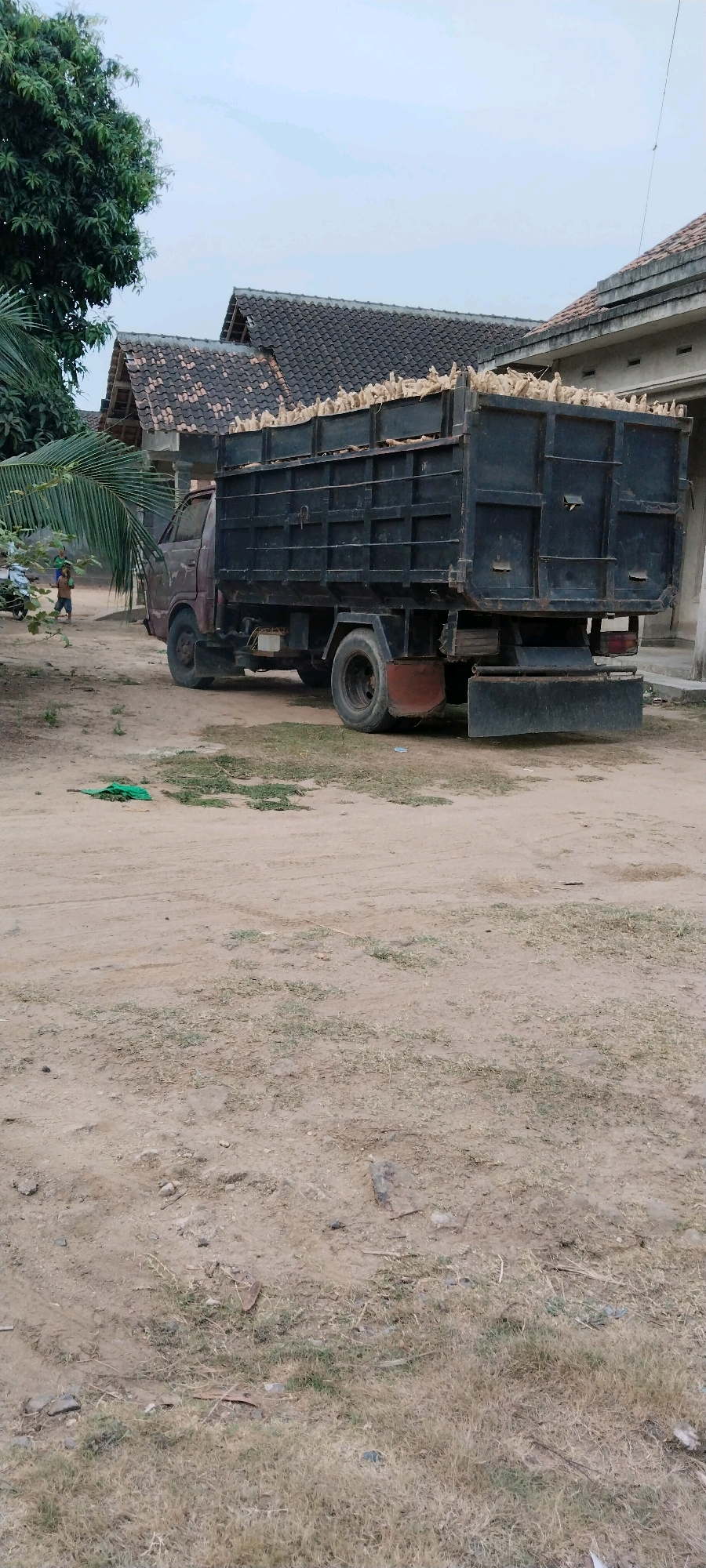 A dark, four-wheeled truck is parked on a dirt and grass lot in what appears to be a rural or suburban area. The truck's bed is filled with a large quantity of corn cobs. The truck cab is a faded maroon color, and the truck bed is dark gray or black. In the background, there are two buildings with dark tiled roofs. To the left of the truck, a palm tree frond hangs over the scene, and further back, a person is visible near what appears to be another vehicle. The ground is uneven, with patches of dry grass and dirt. The sky is overcast. The scene is likely located in Tanjung Ratu Ilir, Indonesia, given the architectural style and vegetation.