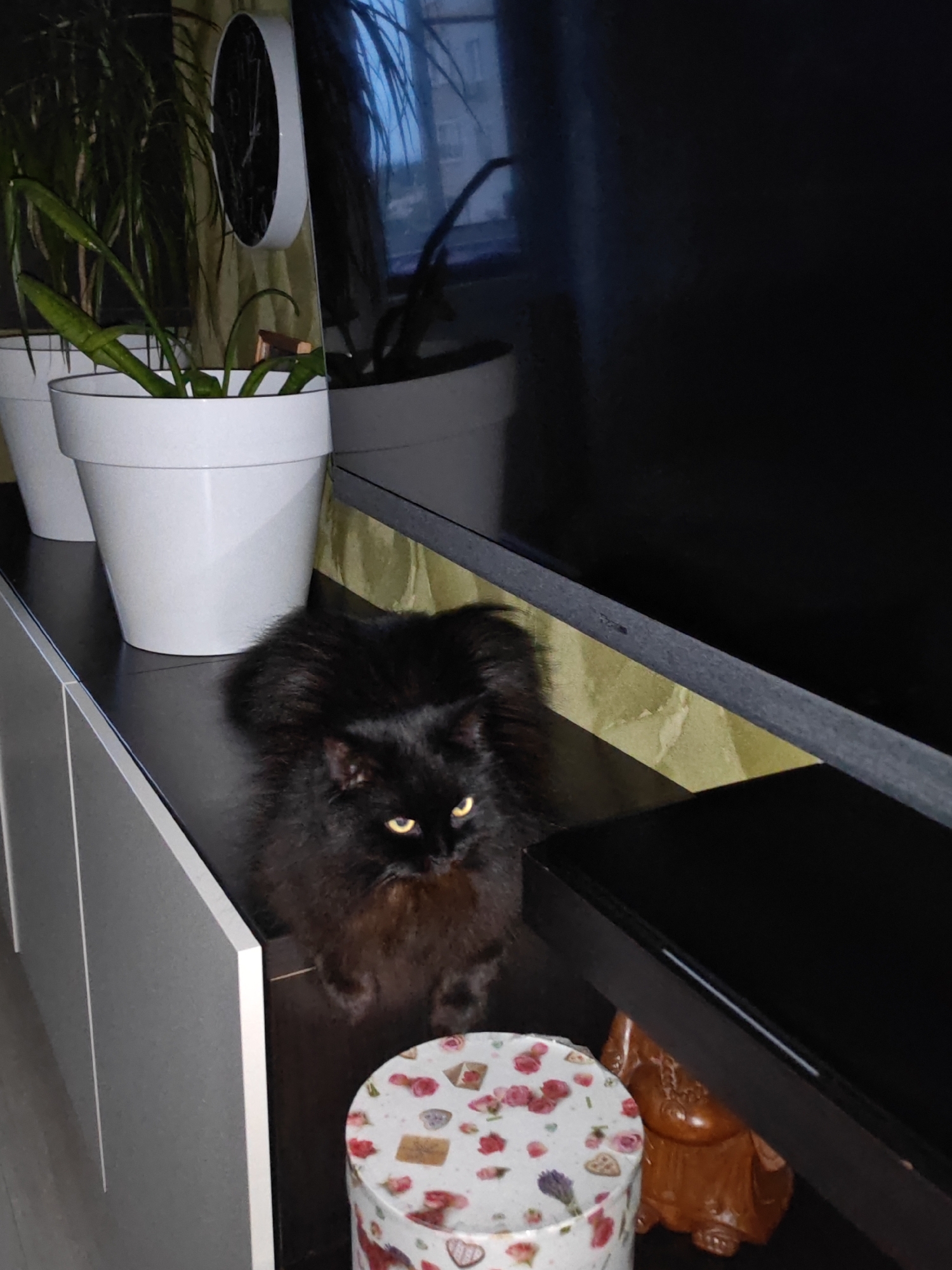A black cat with bright yellow eyes is sitting on a dark shelf, partially obscured by a large black object, possibly a television. To the left of the cat are two white planters, one with a green plant. The shelf appears to be part of a media console. In the foreground, a cylindrical container decorated with pink flowers and hearts is visible. A small wooden figurine is partially visible under the black object. The background is dark, with hints of a window or screen showing a blurred, possibly outdoor scene. There are no identifiable landmarks or features that would place this scene specifically in Bataysk, Russia.