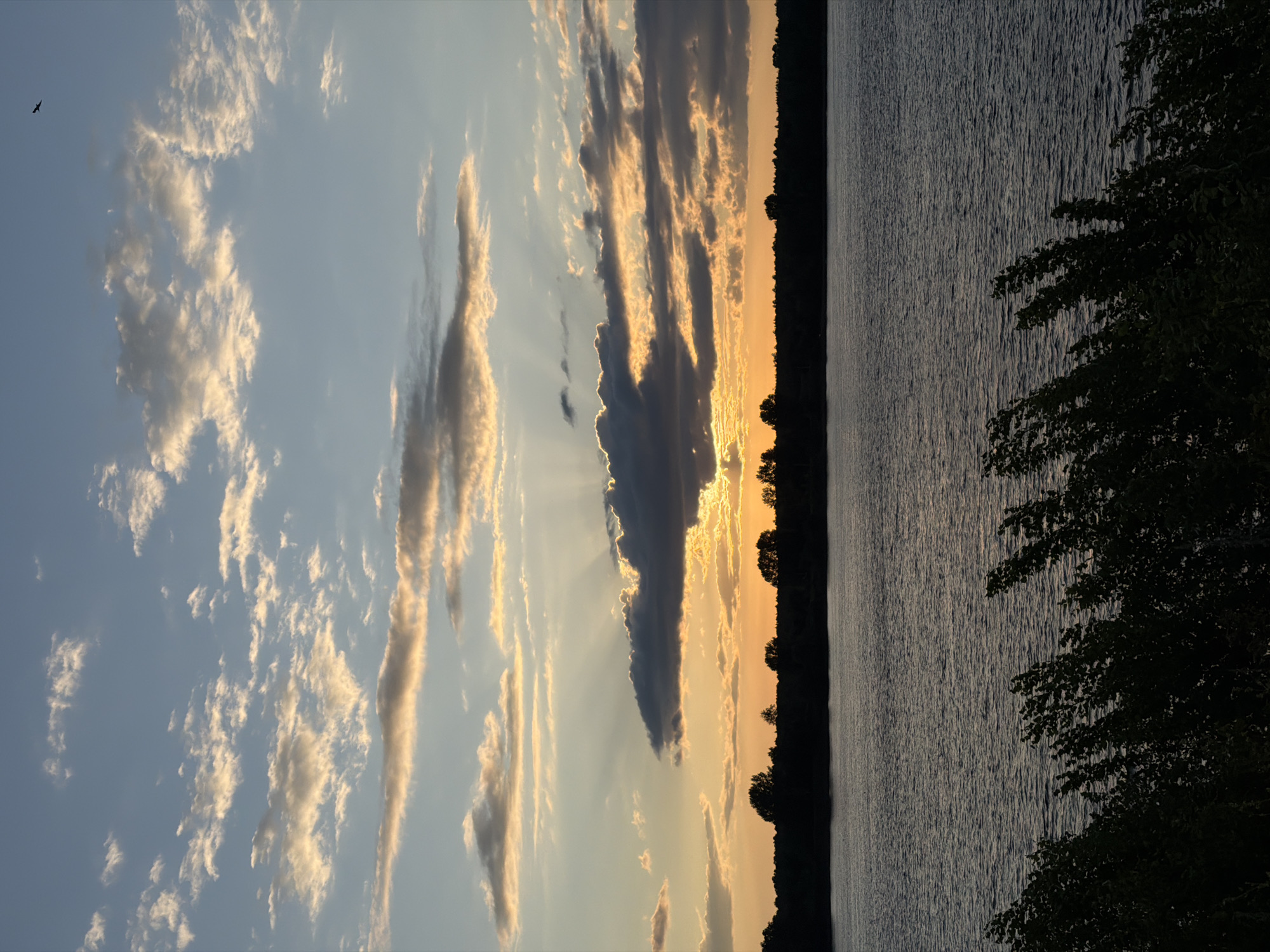 This is a vertical, eye-level photograph of a sunset over a body of water. The sky occupies the top two-thirds of the image and is filled with scattered clouds. The clouds in the upper portion of the sky are white and fluffy, while those closer to the horizon are tinged with orange and yellow from the setting sun. Rays of light are visible emanating from behind a darker cloud bank near the horizon. The horizon line is dark and silhouetted, featuring a line of trees. Below the horizon is a large expanse of water, with gentle ripples on its surface. In the foreground, the dark silhouettes of leafy branches and foliage frame the bottom of the image. A single bird is visible in flight in the upper right portion of the sky. The scene is peaceful and serene. The location is a body of water, likely the Kama River, near the city of Chaikovsky, Russia, characterized by its broad expanse and the bordering trees.