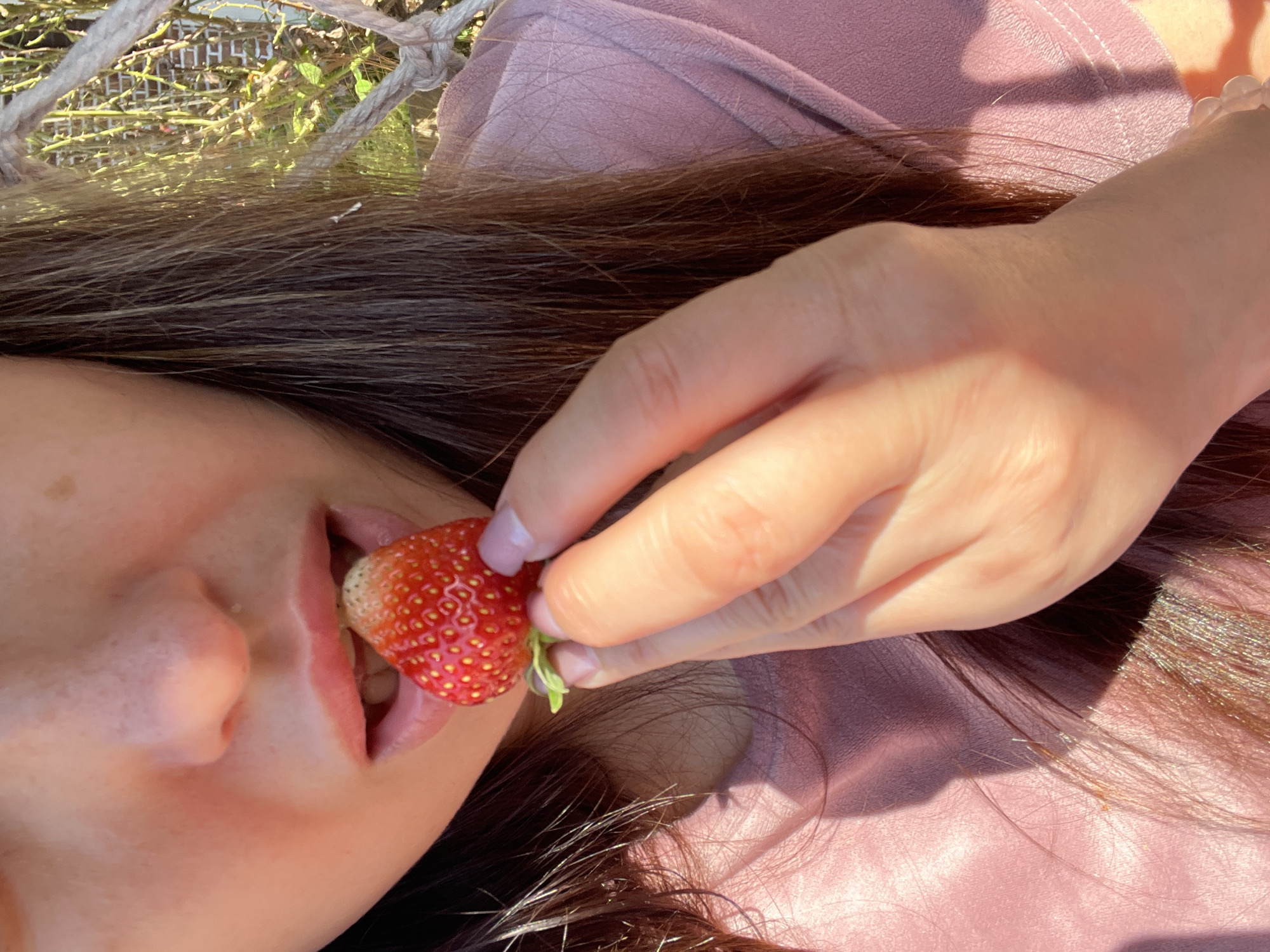 A close-up shot captures a person's mouth and a strawberry held near it. The person has light skin with some freckles on their nose and cheeks. Their lips are slightly parted, revealing teeth. A single, ripe strawberry is being brought to the mouth by the person's hand. The strawberry is red with visible seeds and a small green stem. The person is wearing a pink, possibly satin, shirt, and their dark brown hair is visible around their face and shoulders. The background is blurred, with hints of greenery and a rustic rope structure, suggesting an outdoor setting. The lighting is bright, creating highlights on the skin and hair, and casting a shadow on the shirt.