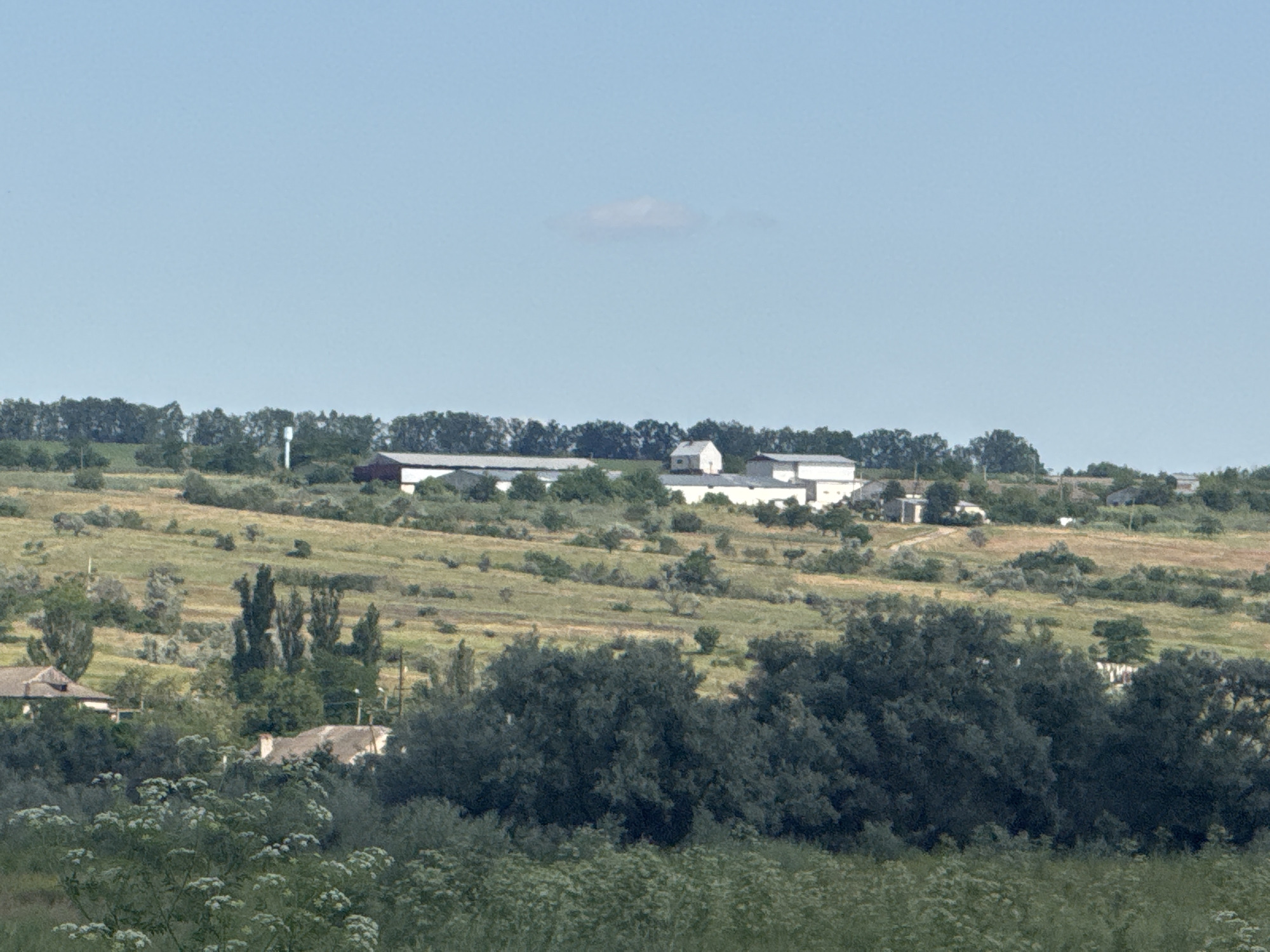 A wide-angle, eye-level, outdoor shot captures a rural landscape under a clear, pale blue sky. The scene is dominated by rolling hills covered in various shades of green vegetation and sparse trees. In the mid-ground, a cluster of agricultural buildings with white roofs and some darker structures are visible, suggesting a farm or industrial complex. A tall, white water tower stands near the buildings on the left. Several houses with muted-colored roofs are scattered across the hillsides, some partially obscured by dense, dark green trees in the foreground. The foreground itself is filled with an abundance of light green foliage and white wildflowers. The image appears to be a view of the outskirts of Bohunove, Ukraine.