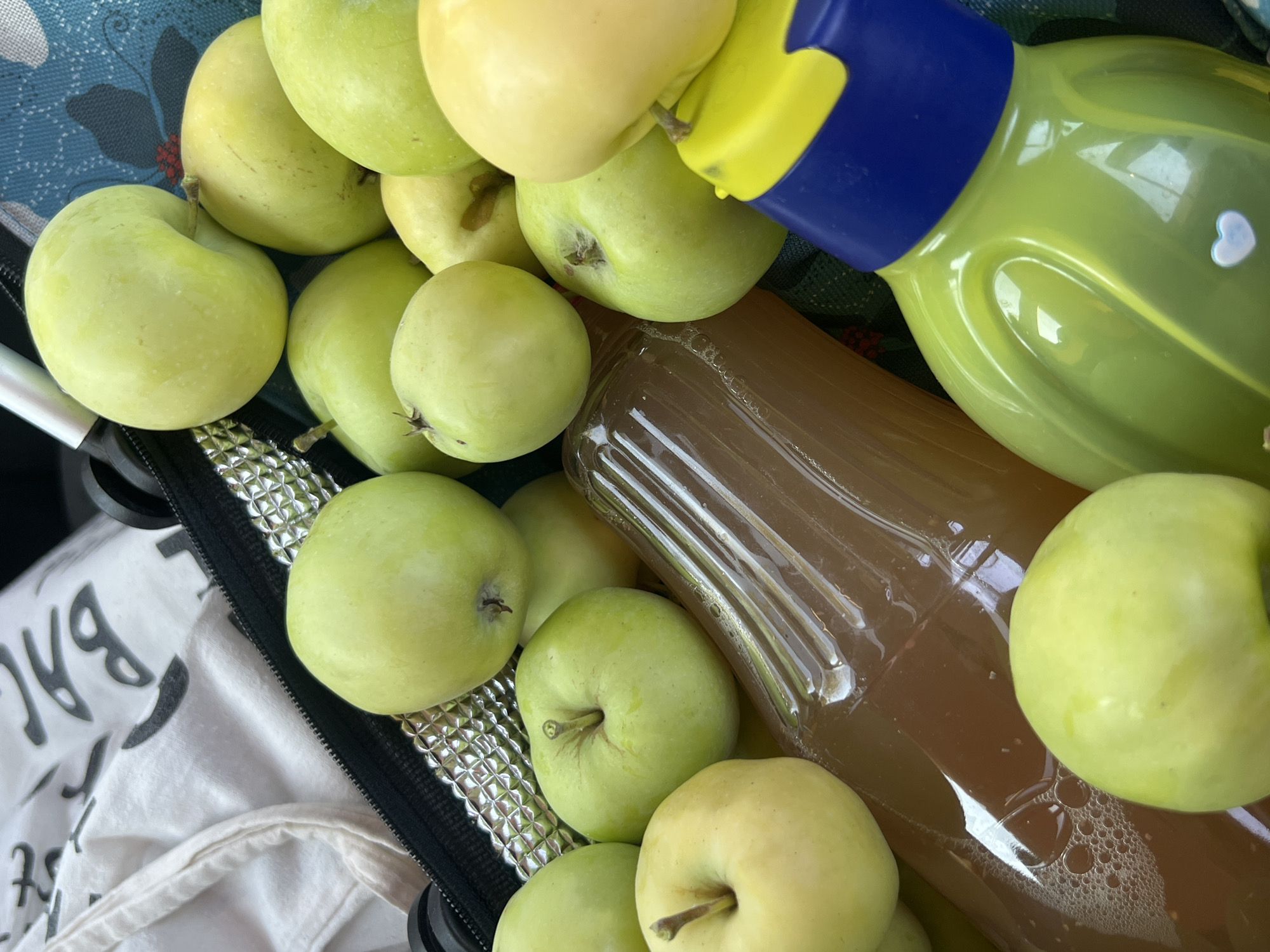 A close-up, overhead shot shows green apples and a bottle of apple juice in a bag. The apples are a light green color and some are partially obscured by the bottle and a blue and yellow plastic container. The bag appears to be a cooler bag, with a reflective silver lining visible around the zipper. A white fabric bag with black lettering is also partially visible. The scene is indoors, and there is no visible indication of the city of Kompaniivka, Ukraine.