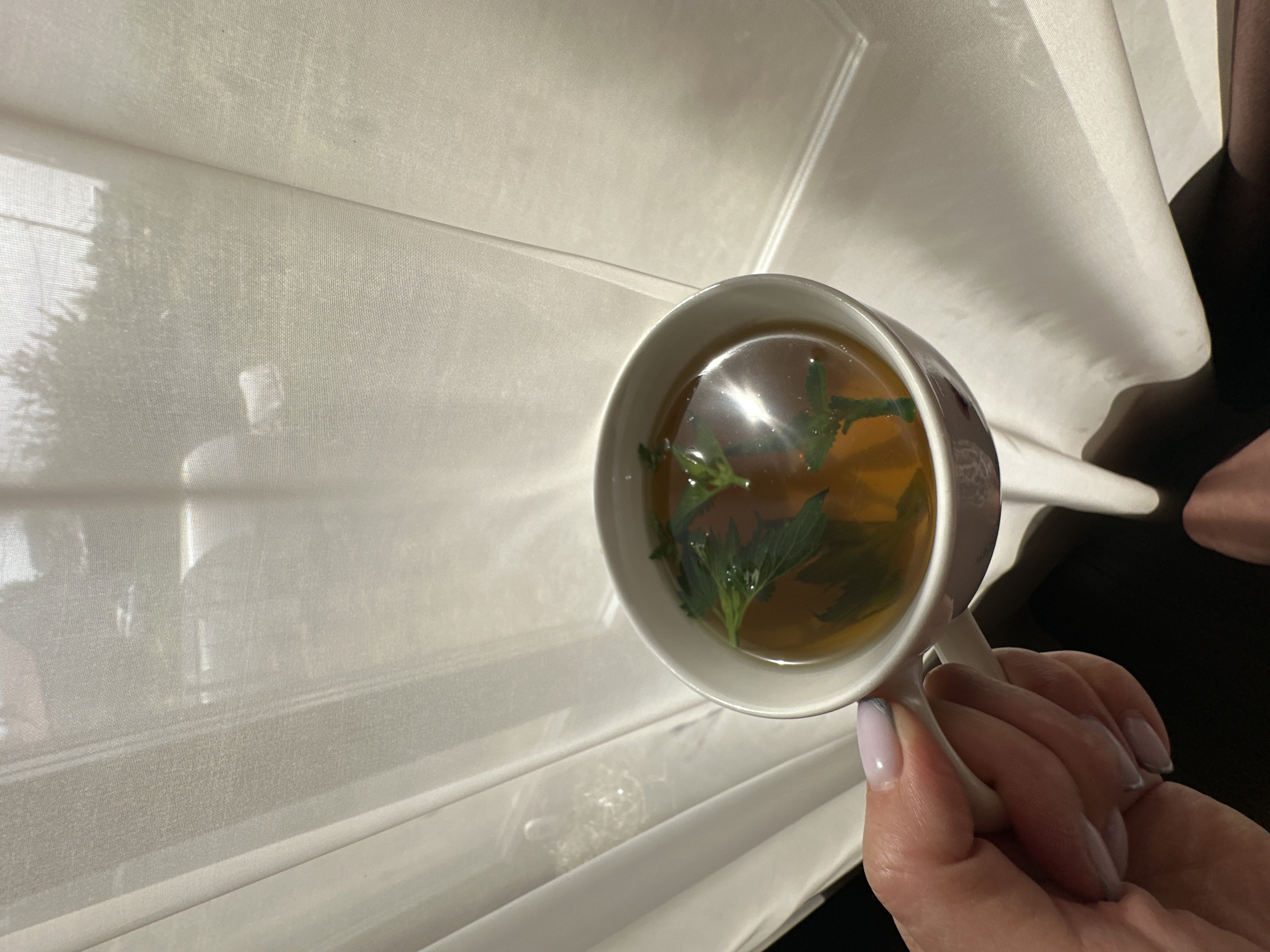 A close-up, high-angle shot captures a hand holding a white mug filled with a light brown liquid and green leaves, likely tea with herbs. The hand, featuring painted fingernails in a pale color, grips the mug’s handle. The mug is positioned against a backdrop of a light-colored, translucent curtain or fabric, possibly a window covering. Light is filtering through the fabric, creating soft shadows and highlights. A portion of a dark surface, possibly a table or furniture, is visible in the background to the right of the curtain. The image does not offer any geographical information or context to determine the location within the city of Chaikovsky, Russia.