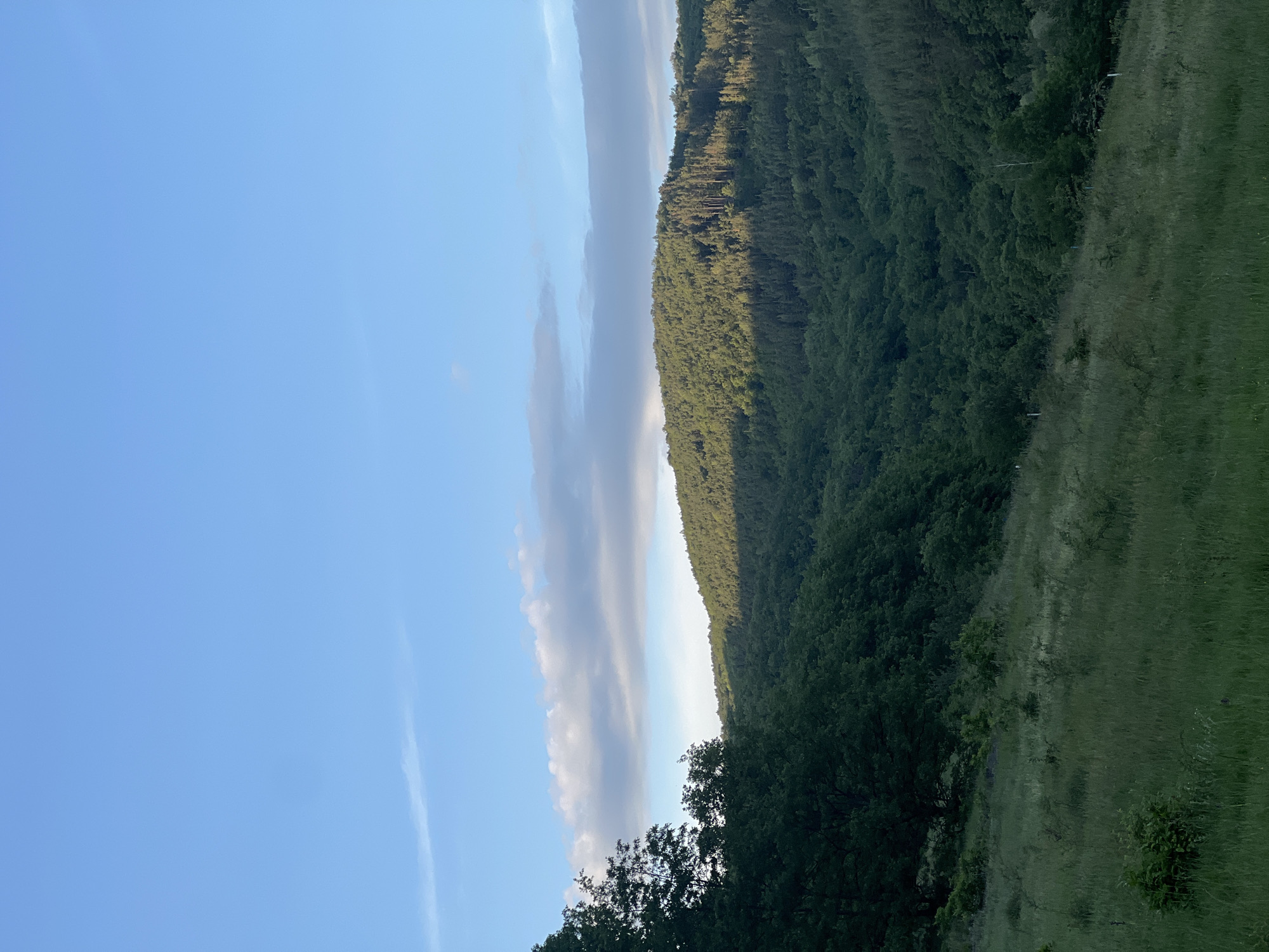 The image shows a landscape in Gorno Kamartsi, Bulgaria. The sky is blue with streaks of white clouds. To the right is a forest with dense green trees. A patch of green grass is visible at the bottom right.