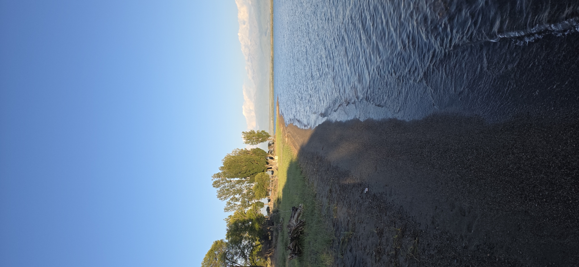 A long shot of a serene lake with a sandy shore in Issyk-Kul, Kyrgyzstan, under a clear blue sky. The water is calm, with gentle waves lapping at the dark, pebbly sand. Lush green grass grows along the edge of the shore, leading to a cluster of tall, slender trees. In the distance, snow-capped mountains rise majestically against the horizon. The scene is bathed in the soft, warm light of either sunrise or sunset, casting long shadows across the sand. A few pieces of driftwood lie on the shore, adding a rustic touch to the otherwise pristine landscape.