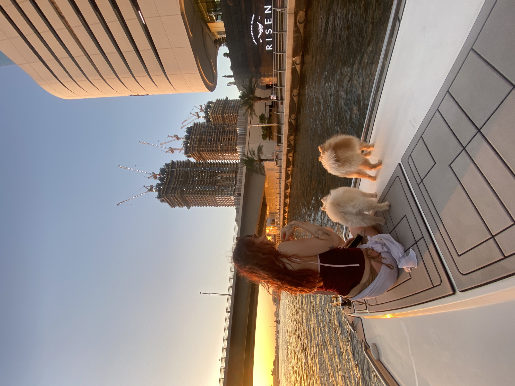The image shows a woman and two small dogs on a boat with the Dubai skyline in the background. The woman is seated on the deck with long, reddish-brown hair, wearing a burgundy top and light-colored shorts. She has tattoos on her arms. Two small, fluffy dogs, one tan and one white, are standing near her on the deck. The skyline includes modern high-rise buildings, some under construction with cranes visible, and a building with the word "RISEN" visible. The water reflects the golden hues of the setting sun. The boat is moving along the water with some infrastructure on the shore nearby.