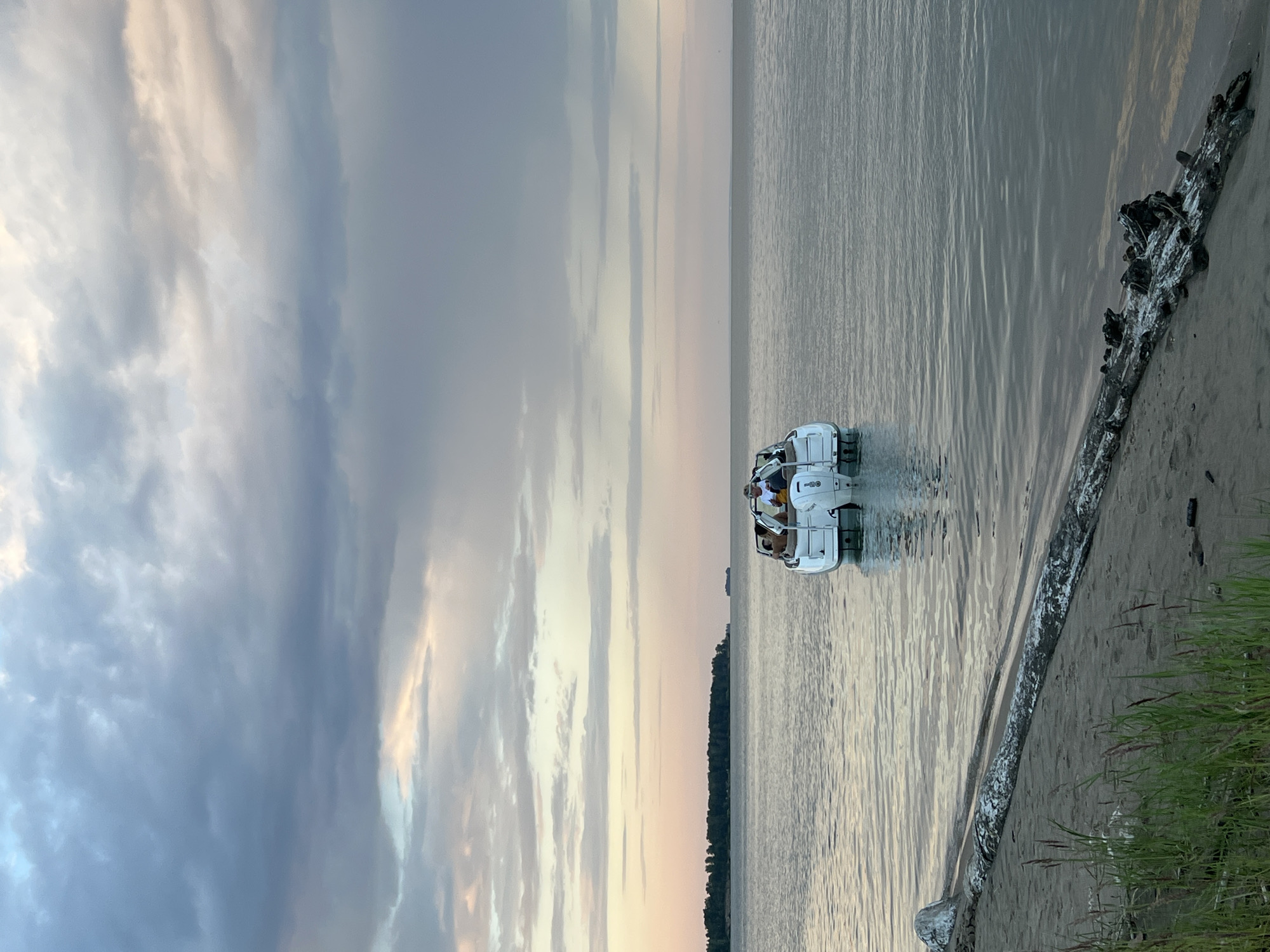 A white motorboat with several people onboard is on calm water. The boat is in the middle of the frame, and there are people sitting on the back of the boat. The water is calm and reflects the sky. The sky is cloudy with some patches of pink and orange light from the setting sun. In the background, there is a tree line on a distant shore. In the foreground, a large piece of driftwood is on the sand near the water's edge. Some tall grass is growing on the sand. The scene appears to be a serene natural setting.