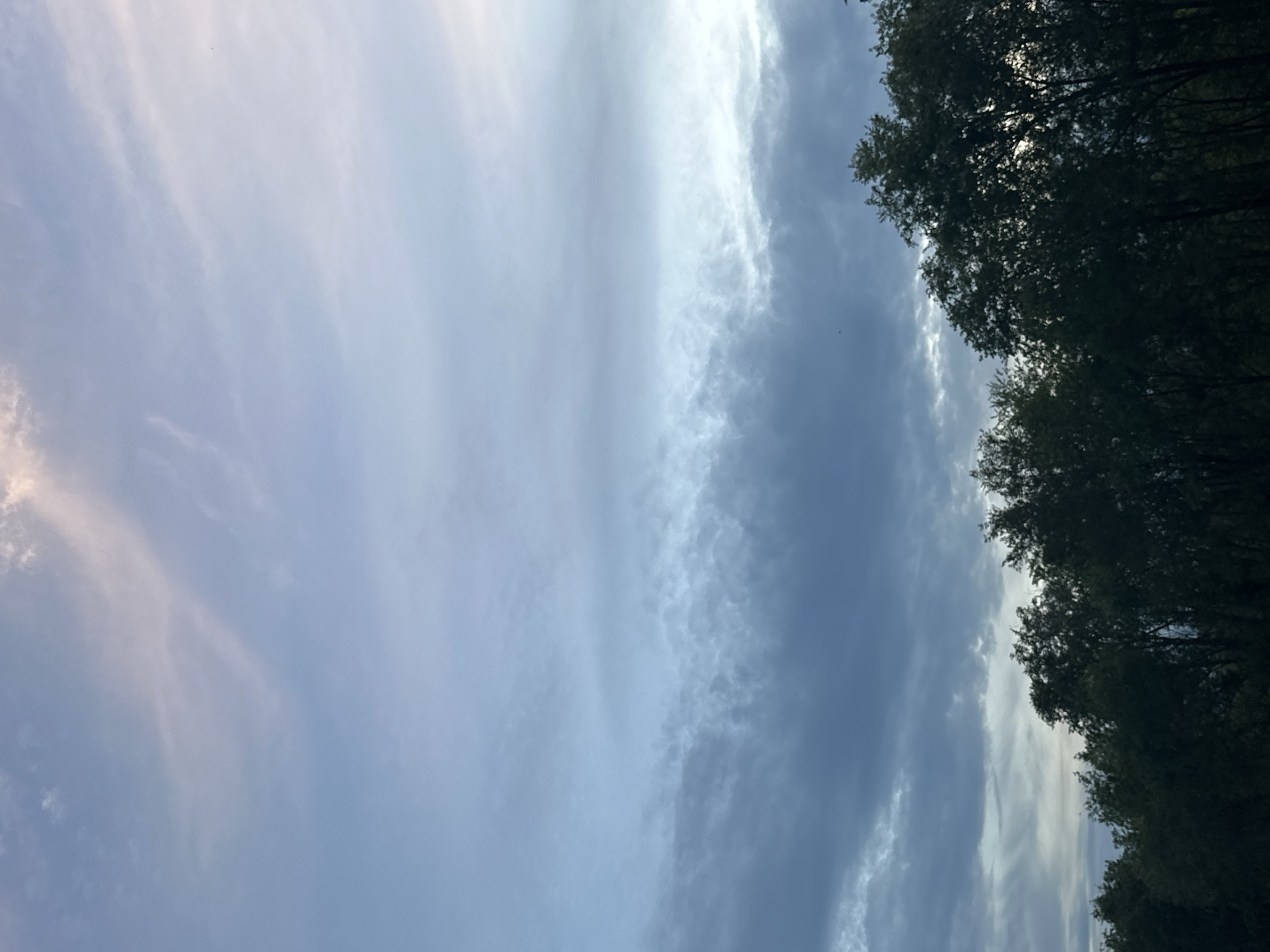 The image depicts a sky with scattered clouds, seen from a low angle. The sky is mostly a light blue, with some areas of white and grey clouds. There is a vertical line of denser, brighter clouds running down the right side of the image. The clouds appear wispy and stretched out, suggesting a gentle breeze. On the far right of the image, there is a dark silhouette of trees against the sky, with sunlight filtering through their leaves, indicating it is daytime. The overall mood is serene and peaceful. The image is oriented vertically, as if capturing a tall view. There is no visible text.